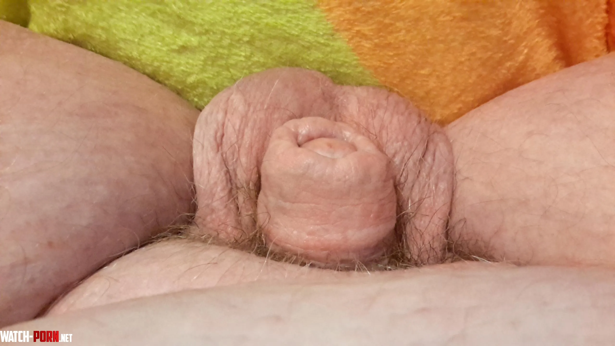 My tiny aussie cock by DarkNight_505