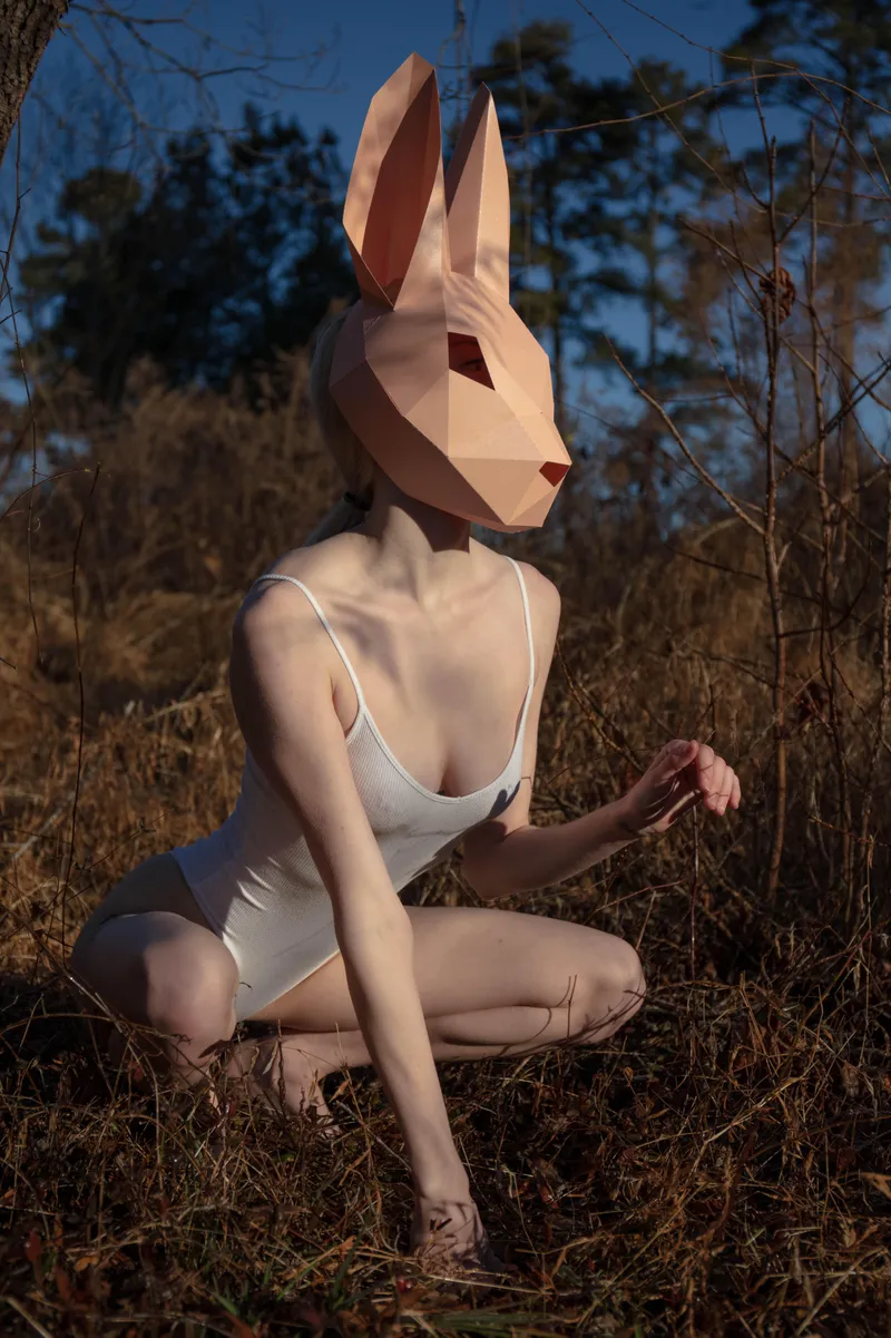Thumbnail Bunny in Bodysuit: Dive into ProjectAletheia's Latest Article!