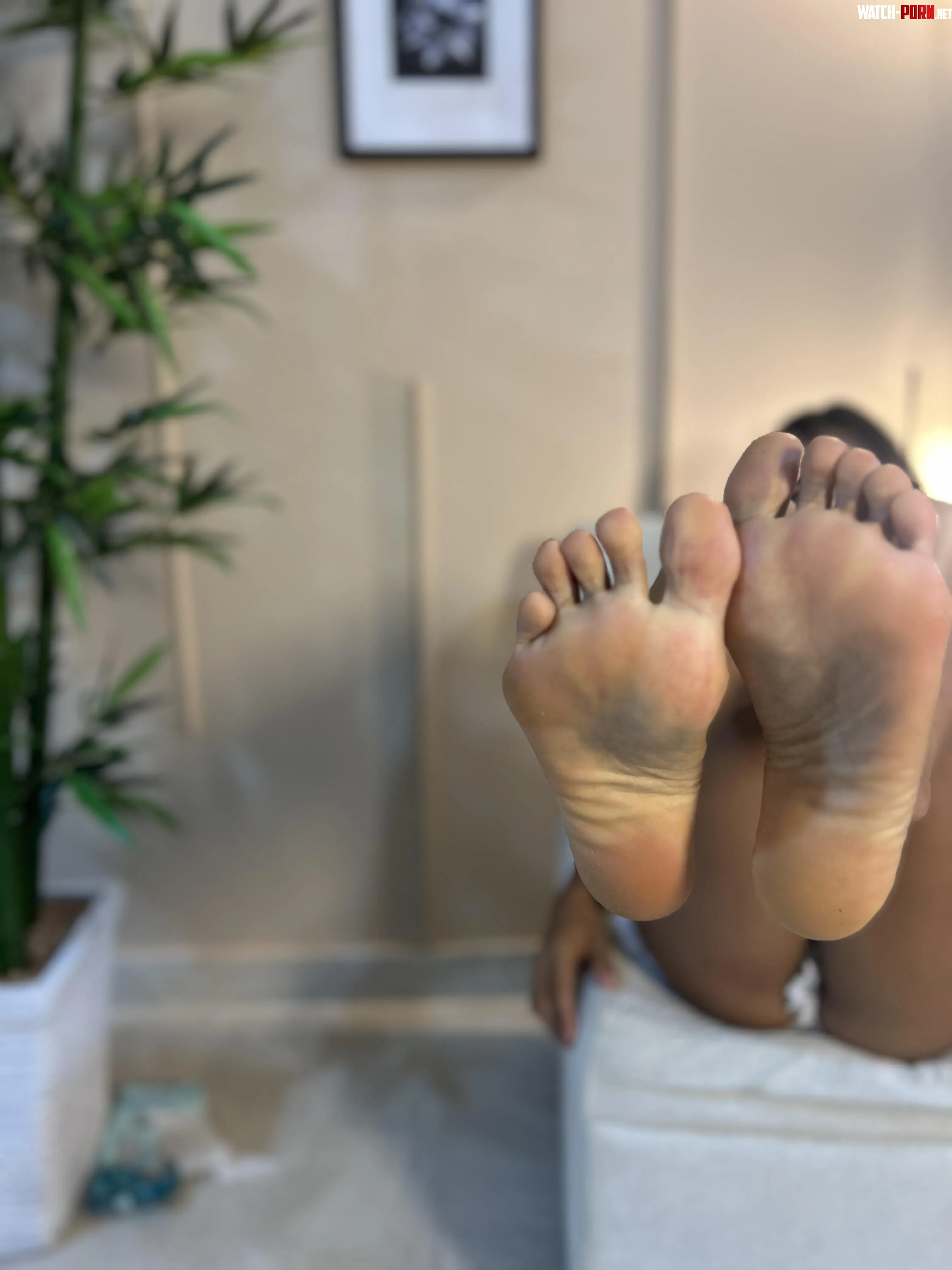 Do you want to lick or sniff them by TanjaWillink