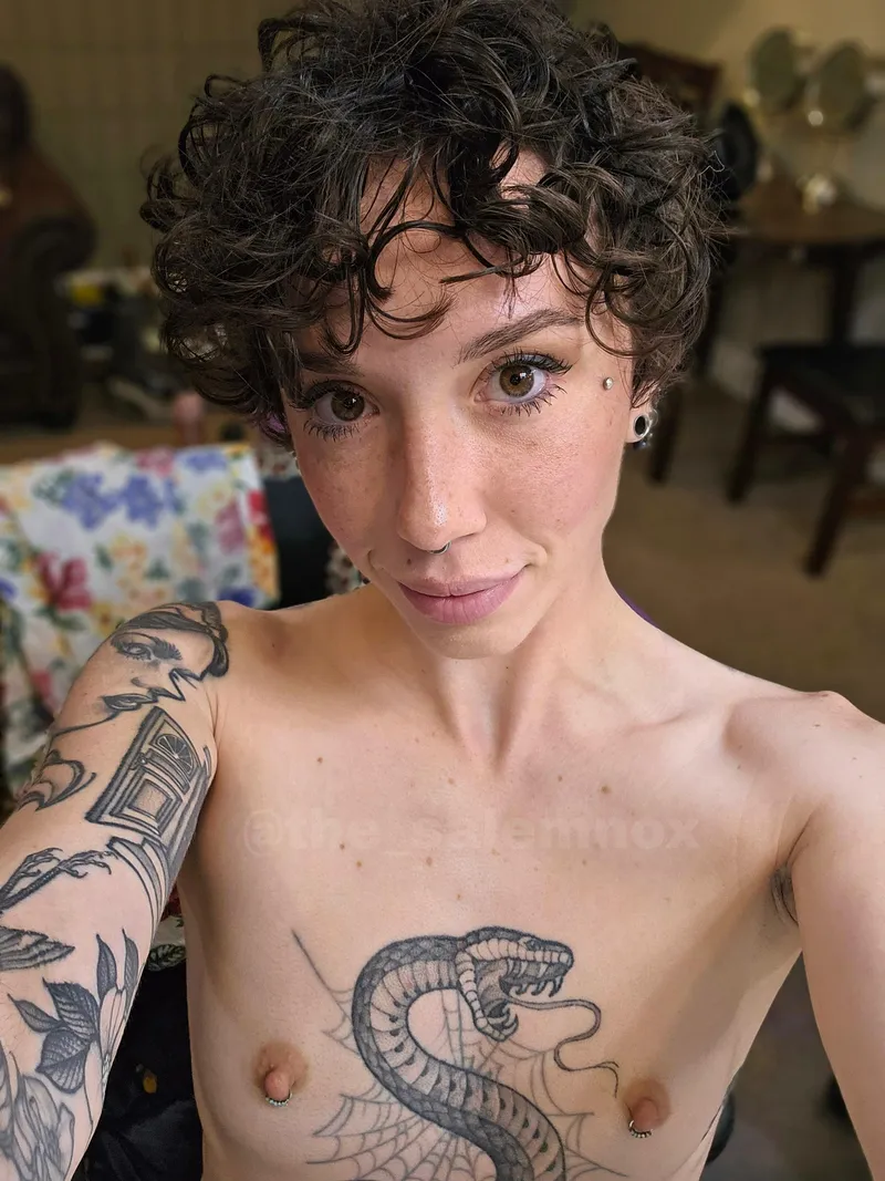 Thumbnail Welcoming Back: The_Salemnox's Return | shorthairchicks