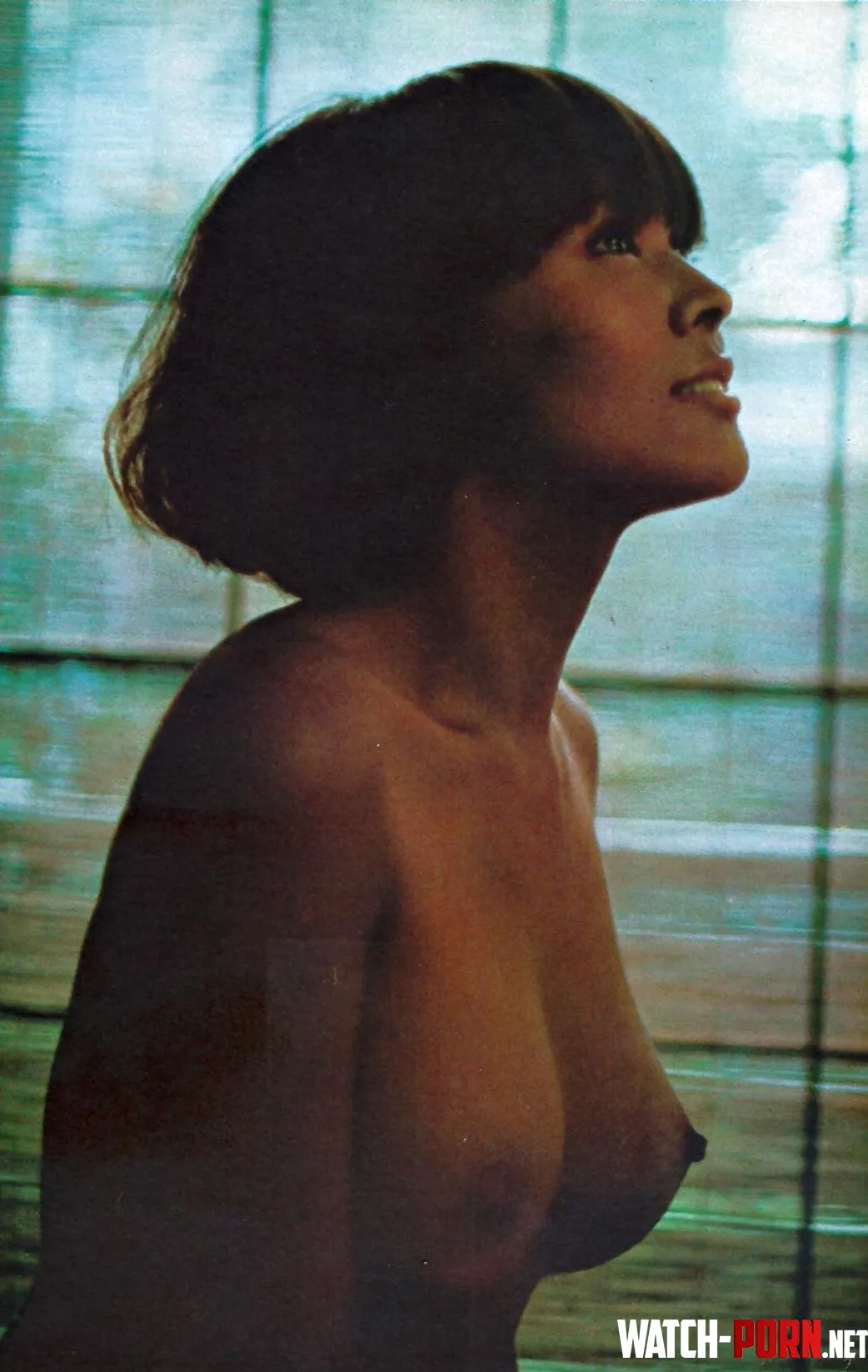 Kiyomi Kobayashi -  Oriental Eyefuls pictorial essay - June 1967 Playboy by DavidLeeTNT