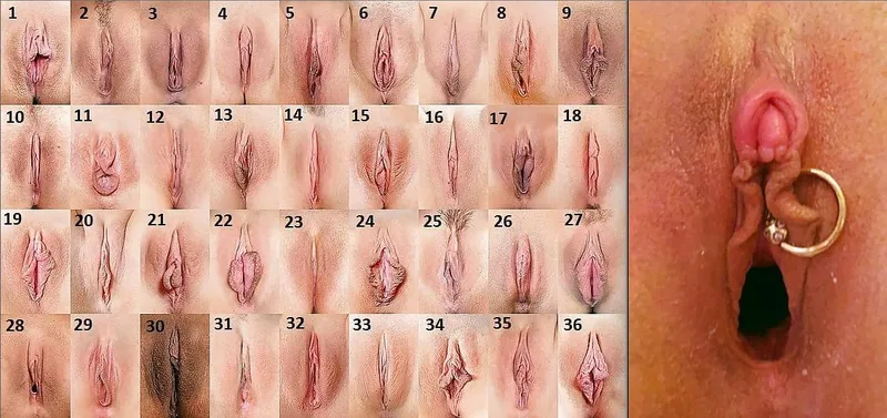 Thumbnail Vulva Gallery Not Fitting by Gapingsandra | Pussy Category