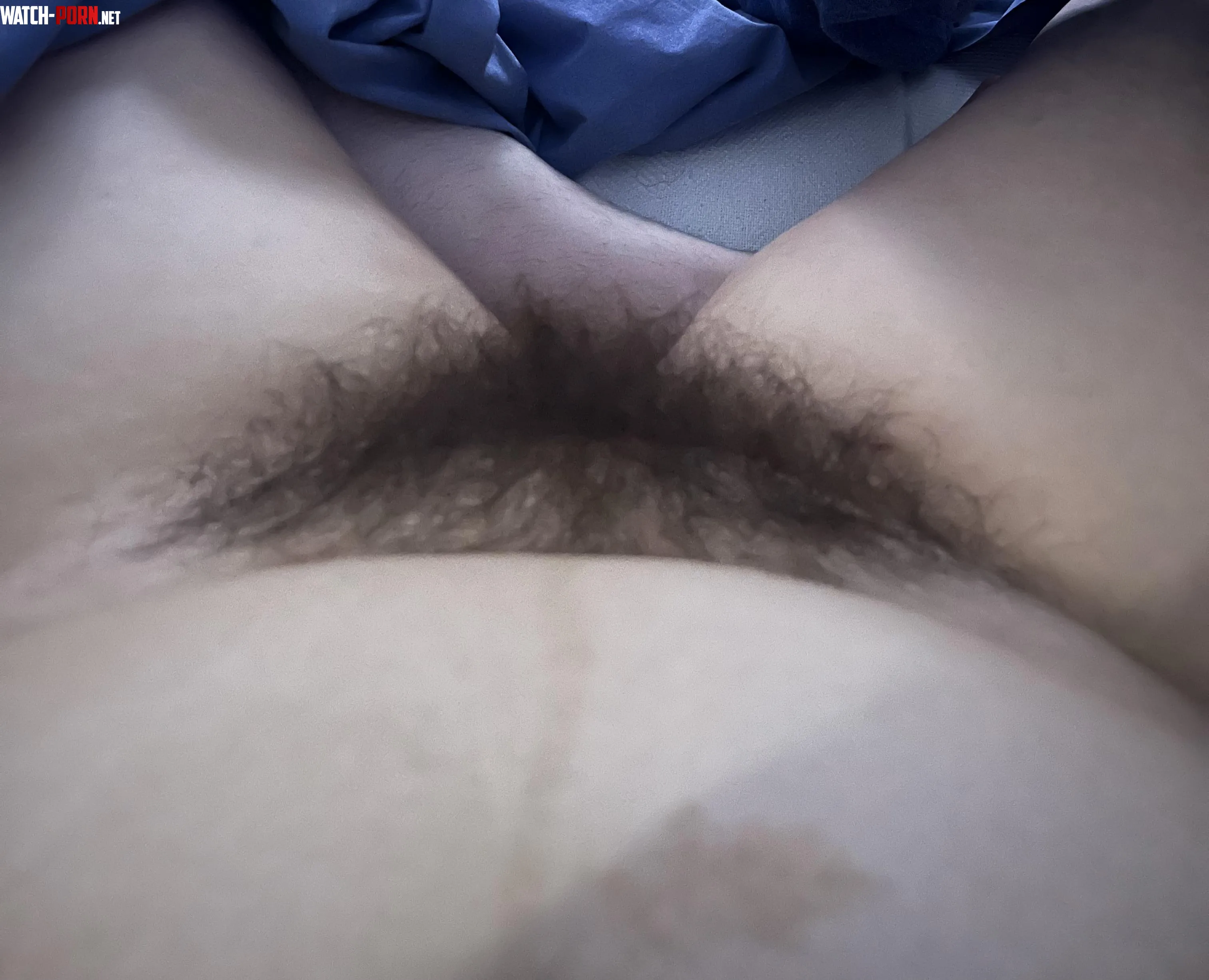 Perfect bush for you to nut on🥰😇 by hunnii69