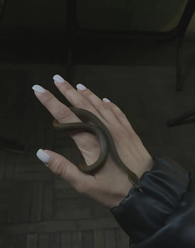Thumbnail Manicure Speaks Louder than Words: FrostyWhim's Revelations | Nail Fetish