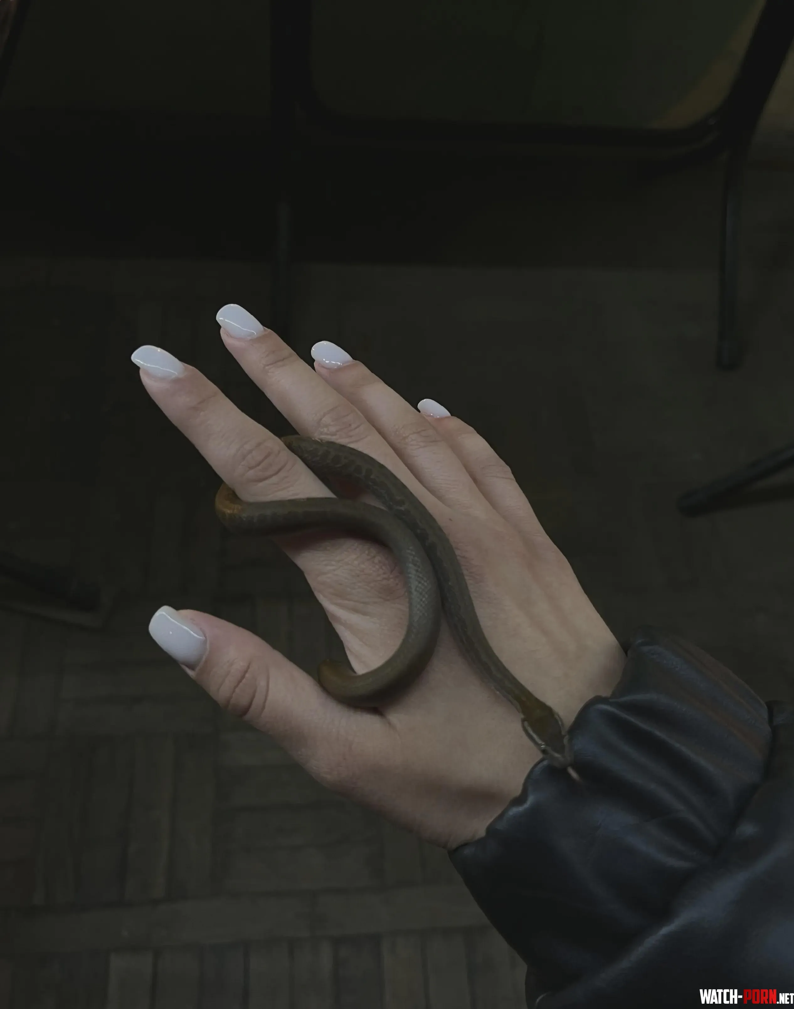 My manicure speaks louder than words by FrostyWhim