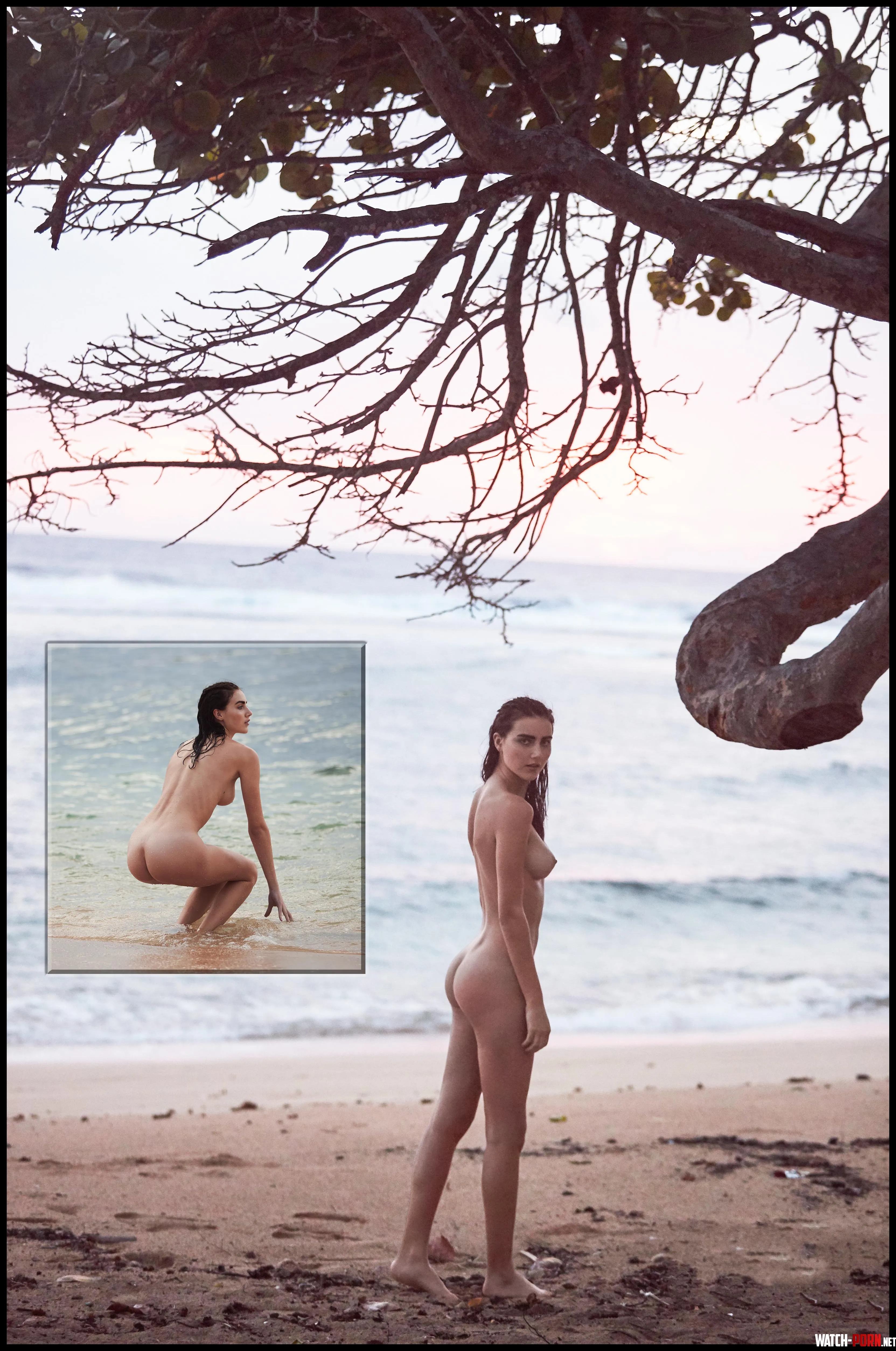 Anna Wolf by LadyCollages32