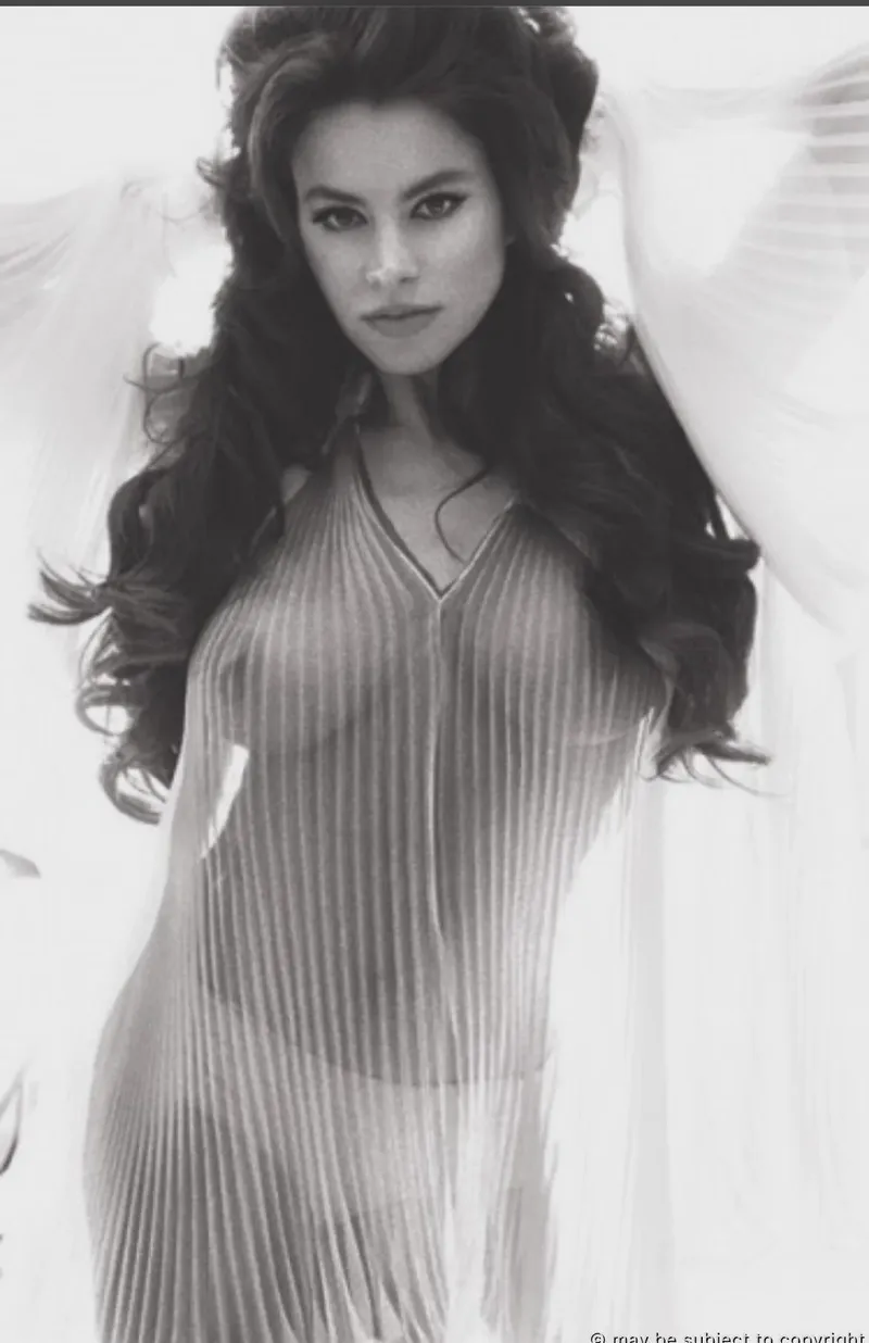 Thumbnail Sofia Vergara: A Spotlight on Celebs with Big Personality | Dear-Firefighter-476