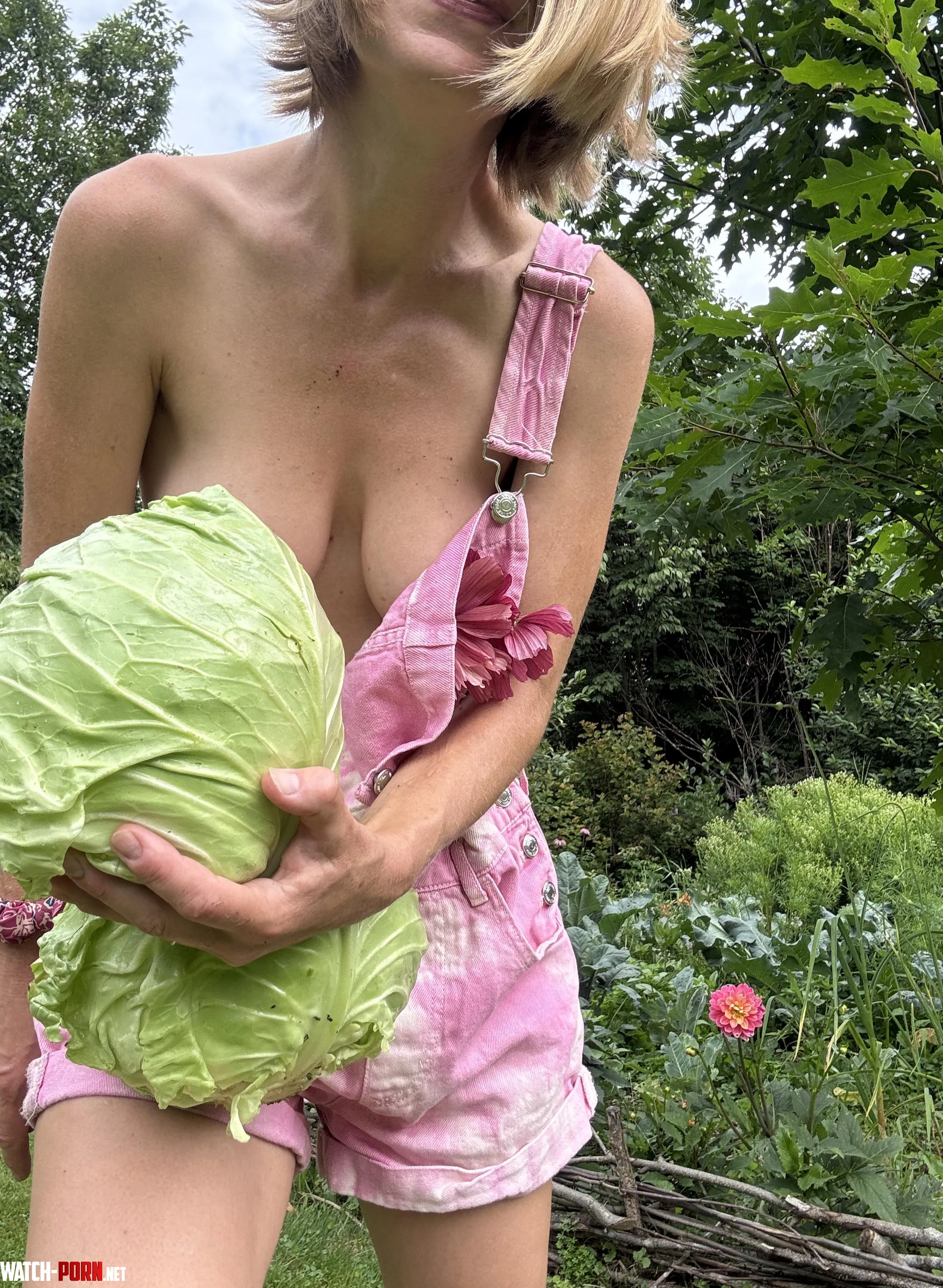 How do you like my cabbages? by ExoticArches