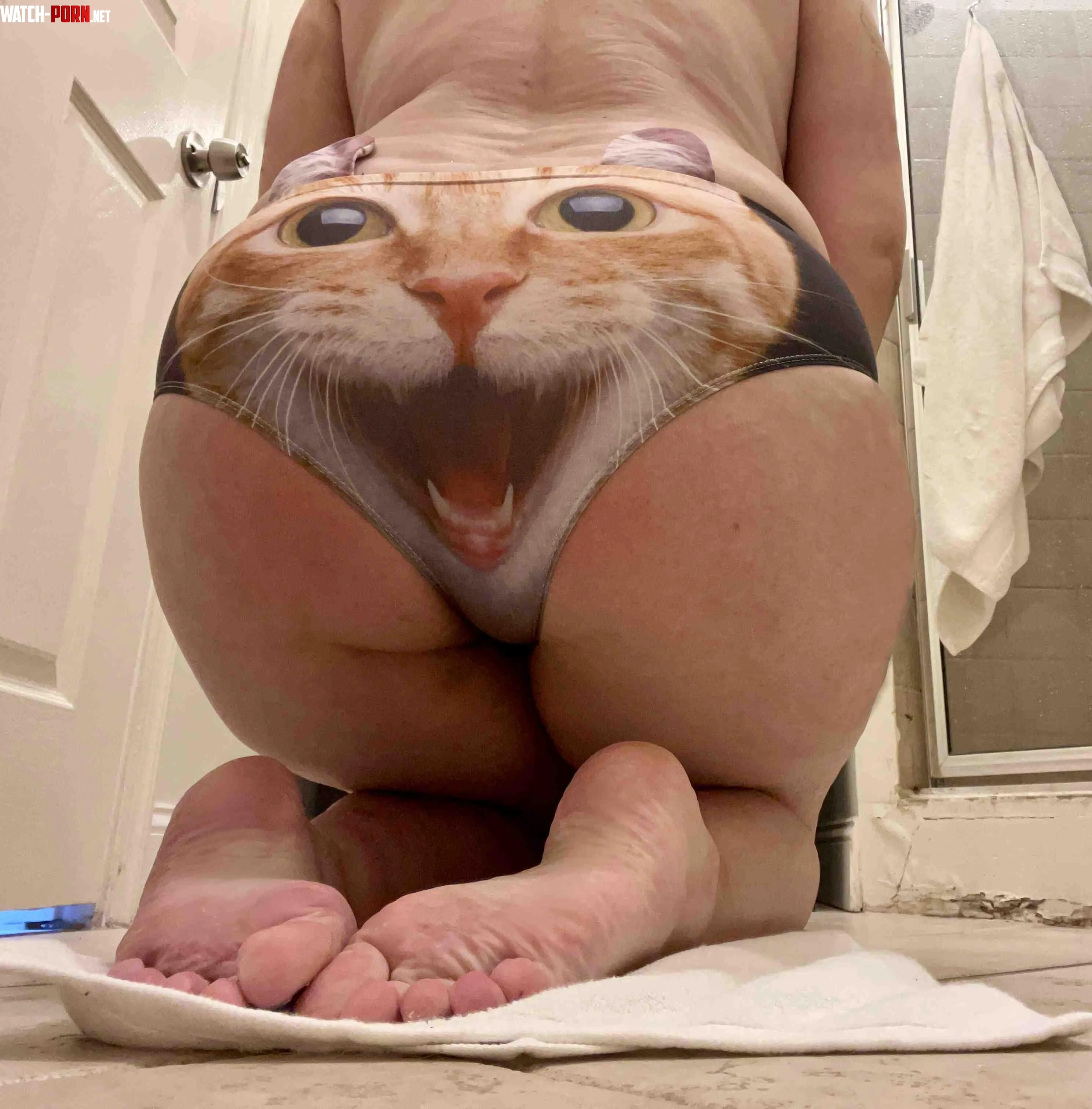 Kitten Panties by Pir8Rbrts2