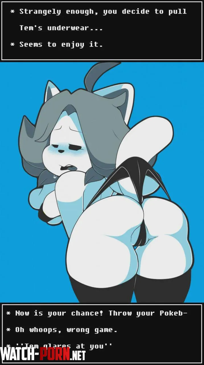 [Temmie] Wedgie >:3 by Icy-Storage2491