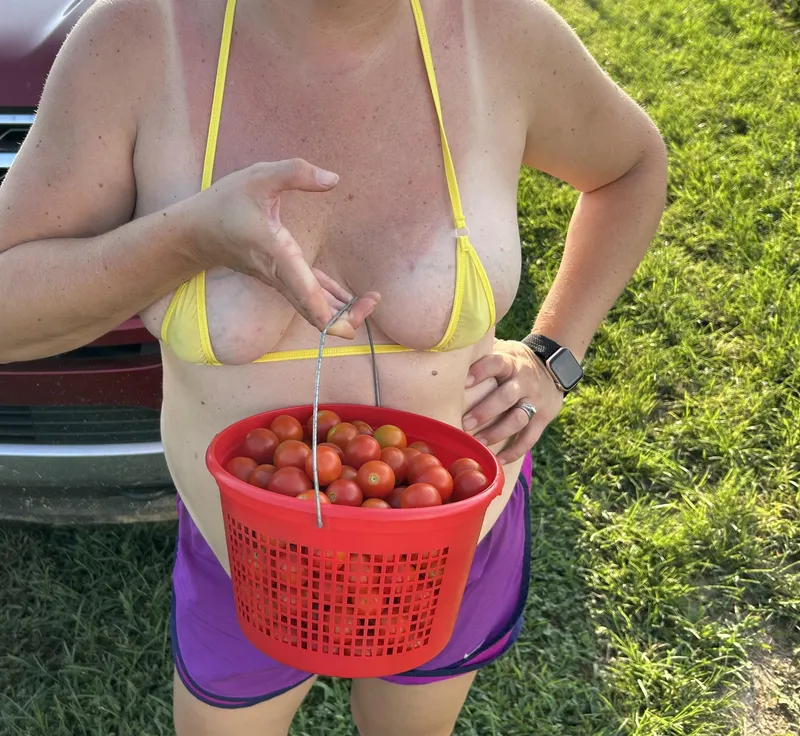 Thumbnail Tomato Picking with Farmerjack32 | countrygirls
