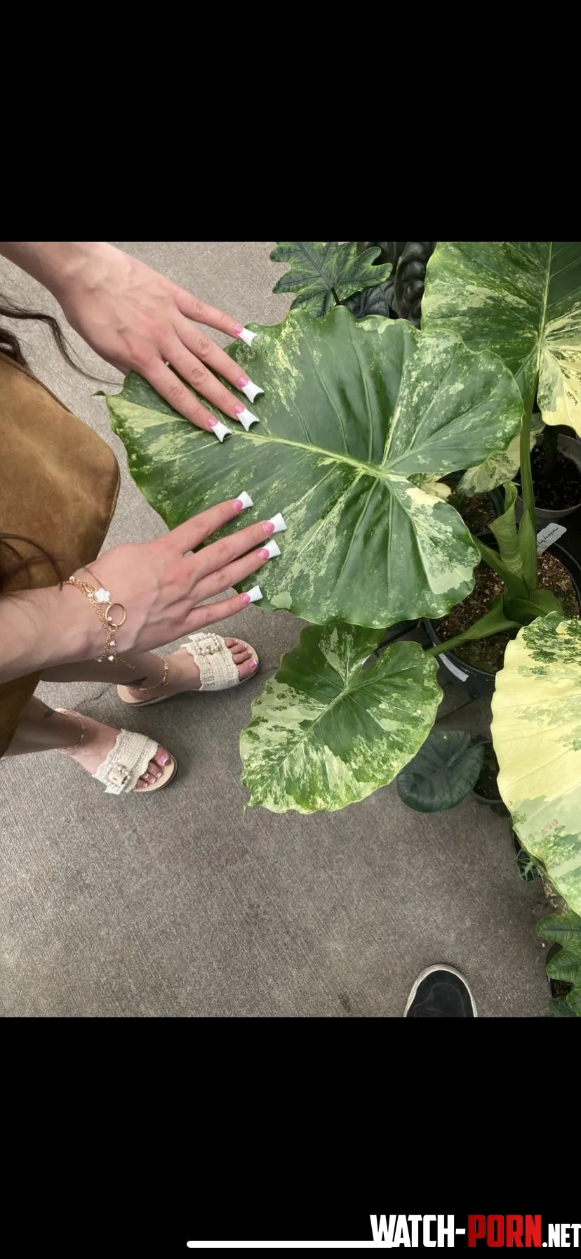 Nails and plants are my addiction 🥵💕 by Brunettebabe95