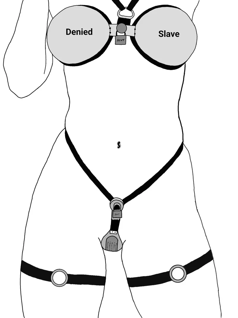 Thumbnail Denied Slave: A Journey in Female Chastity by Hpro24 | femalechastity