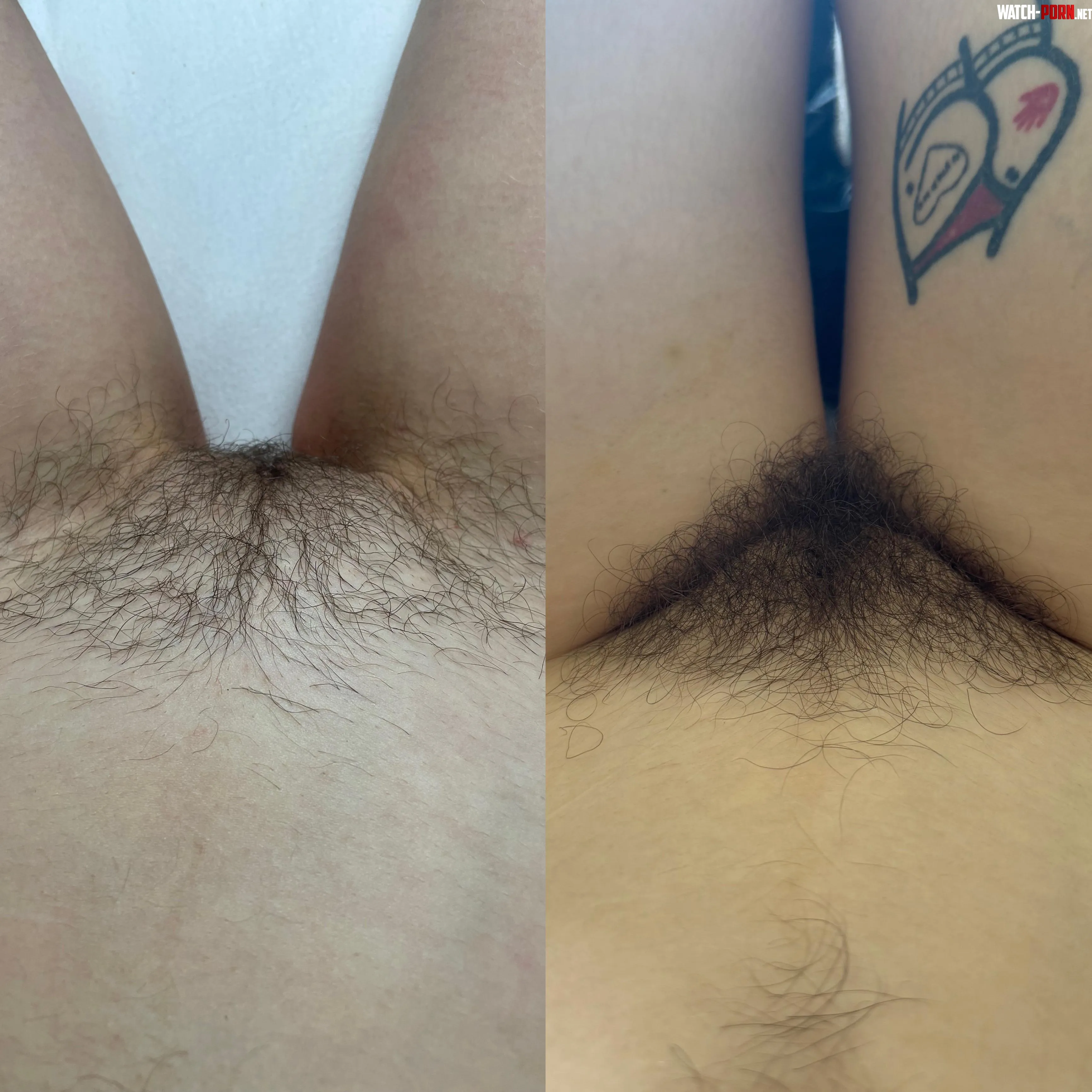 Trimmed or wild? by baby_moonn