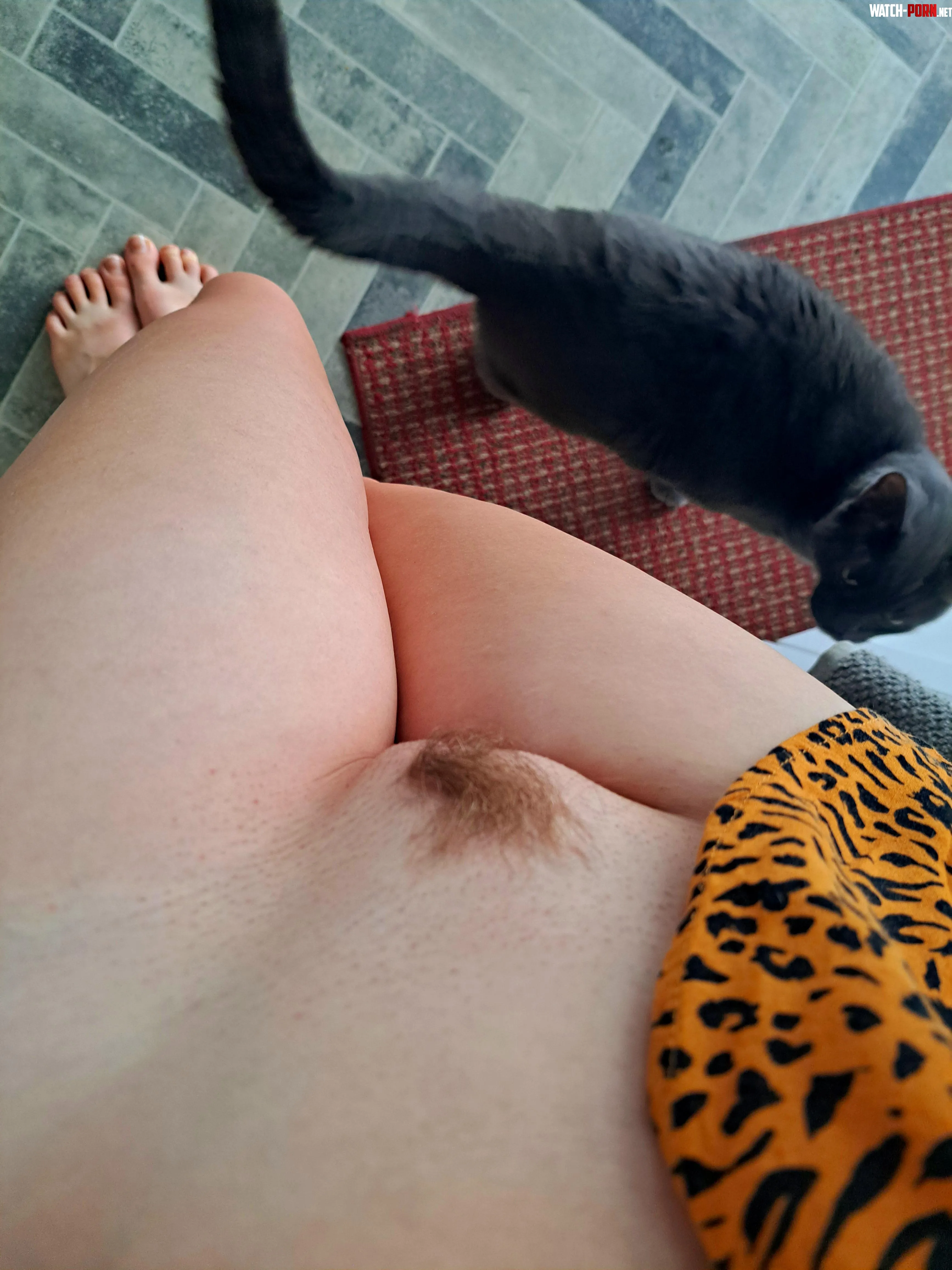 2 kitties in one shot! by Lana-Next-Door
