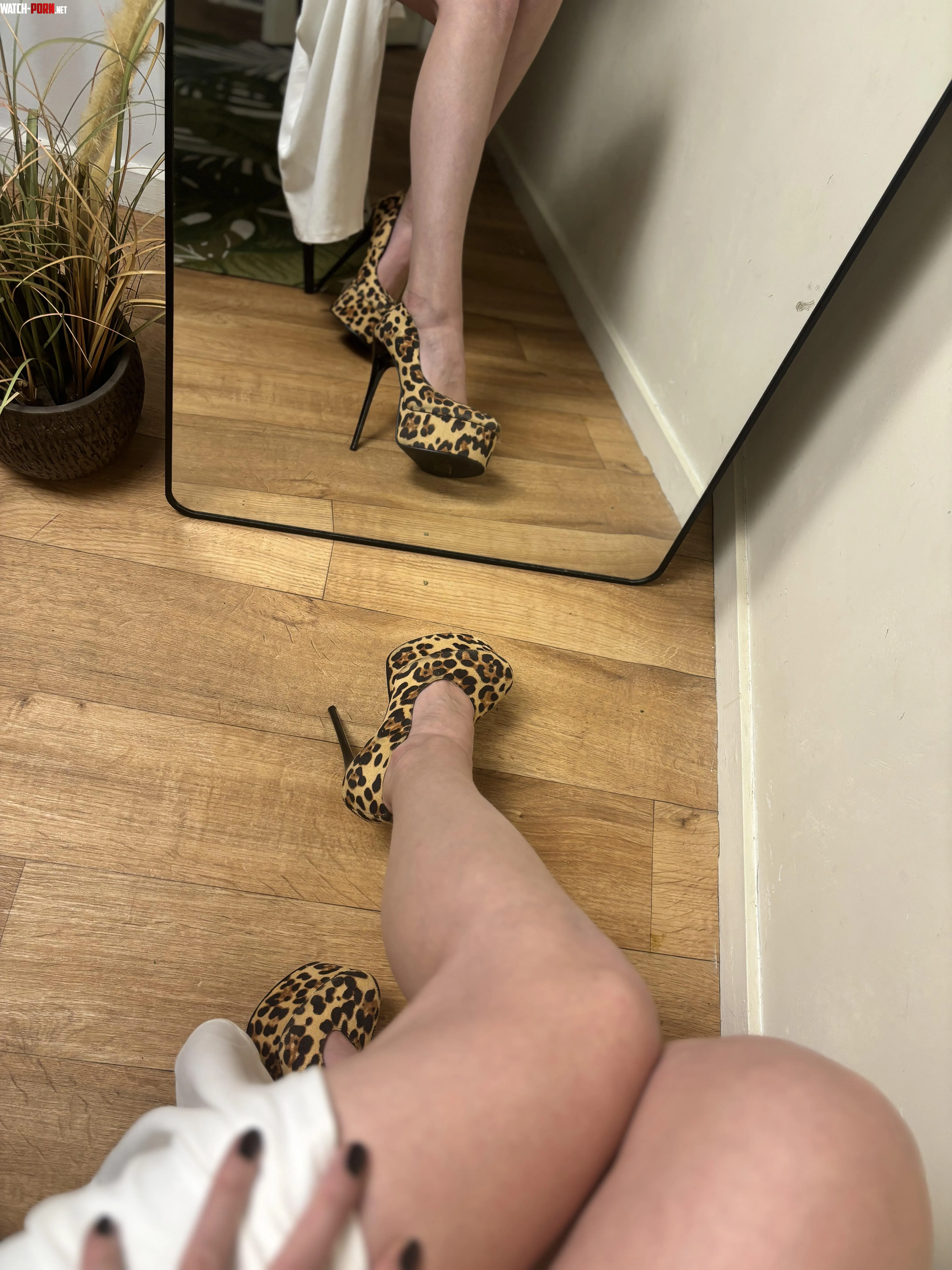 Leggy by LanaPeaches__