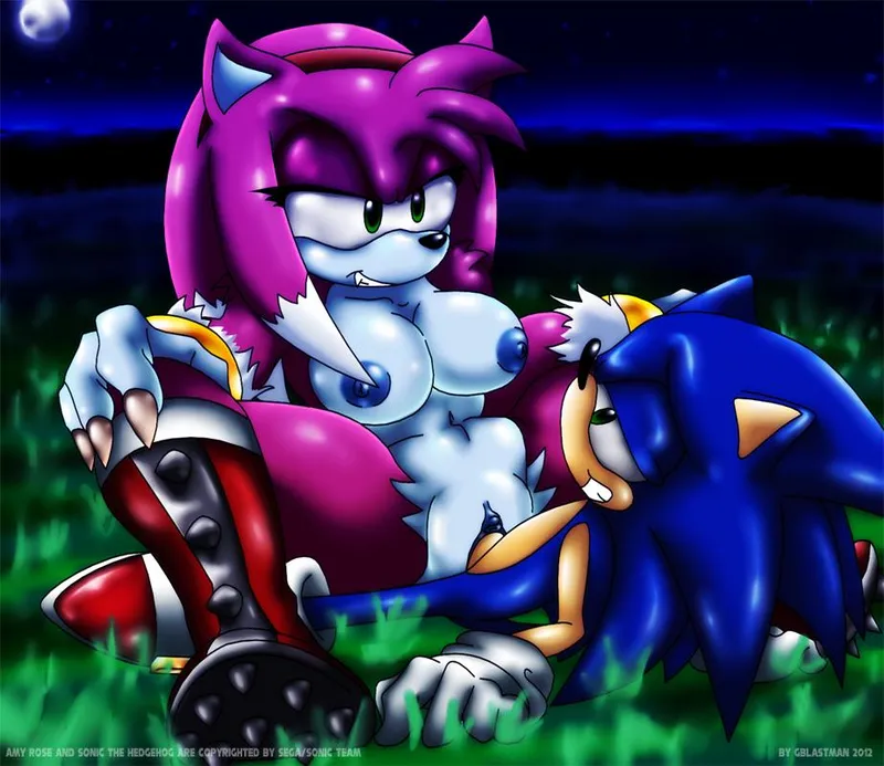 Thumbnail Analyzing SonicPorn Dynamics in Relationship Scenarios by aylema29