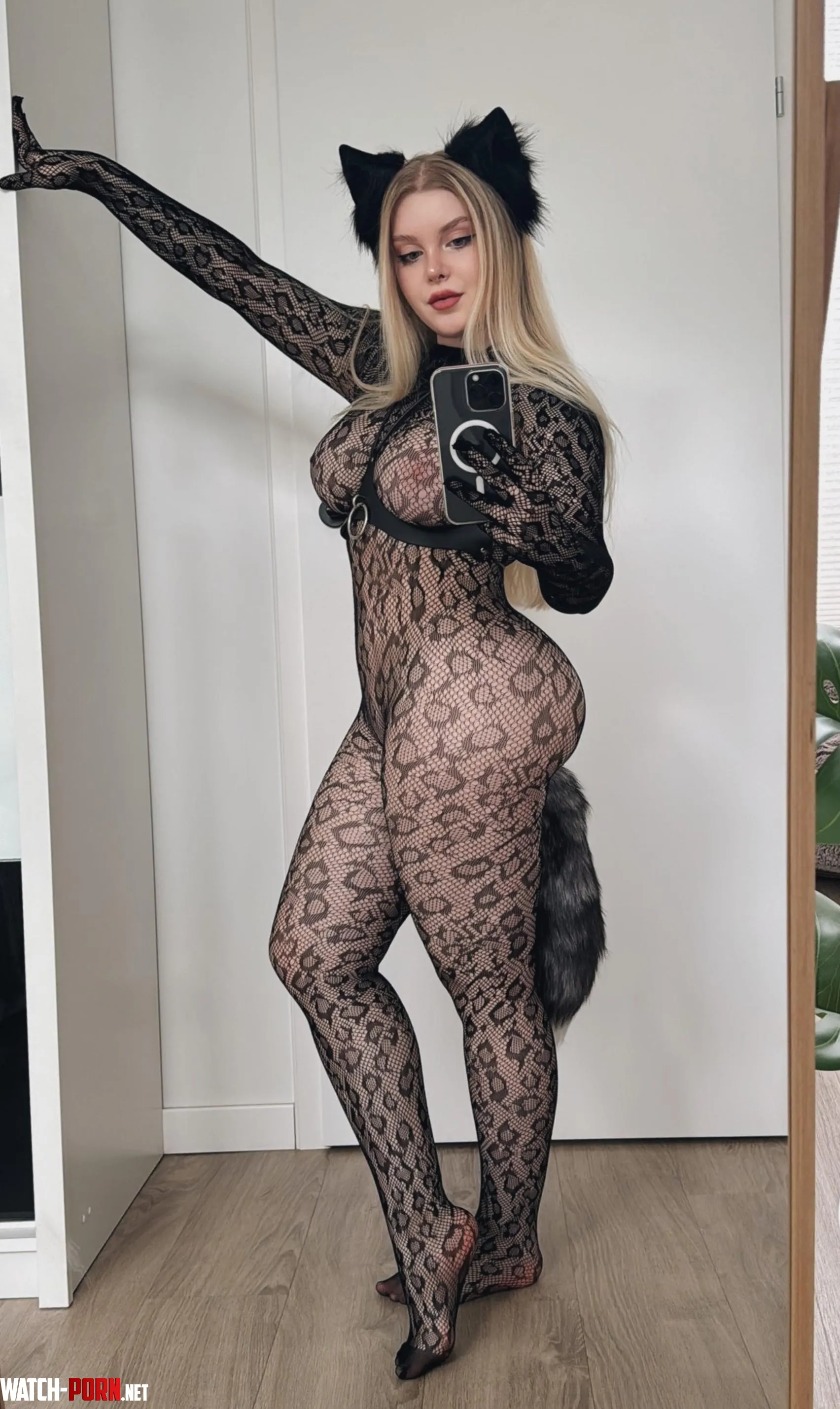 cute kitty needs a new owner by AlexisLusttt