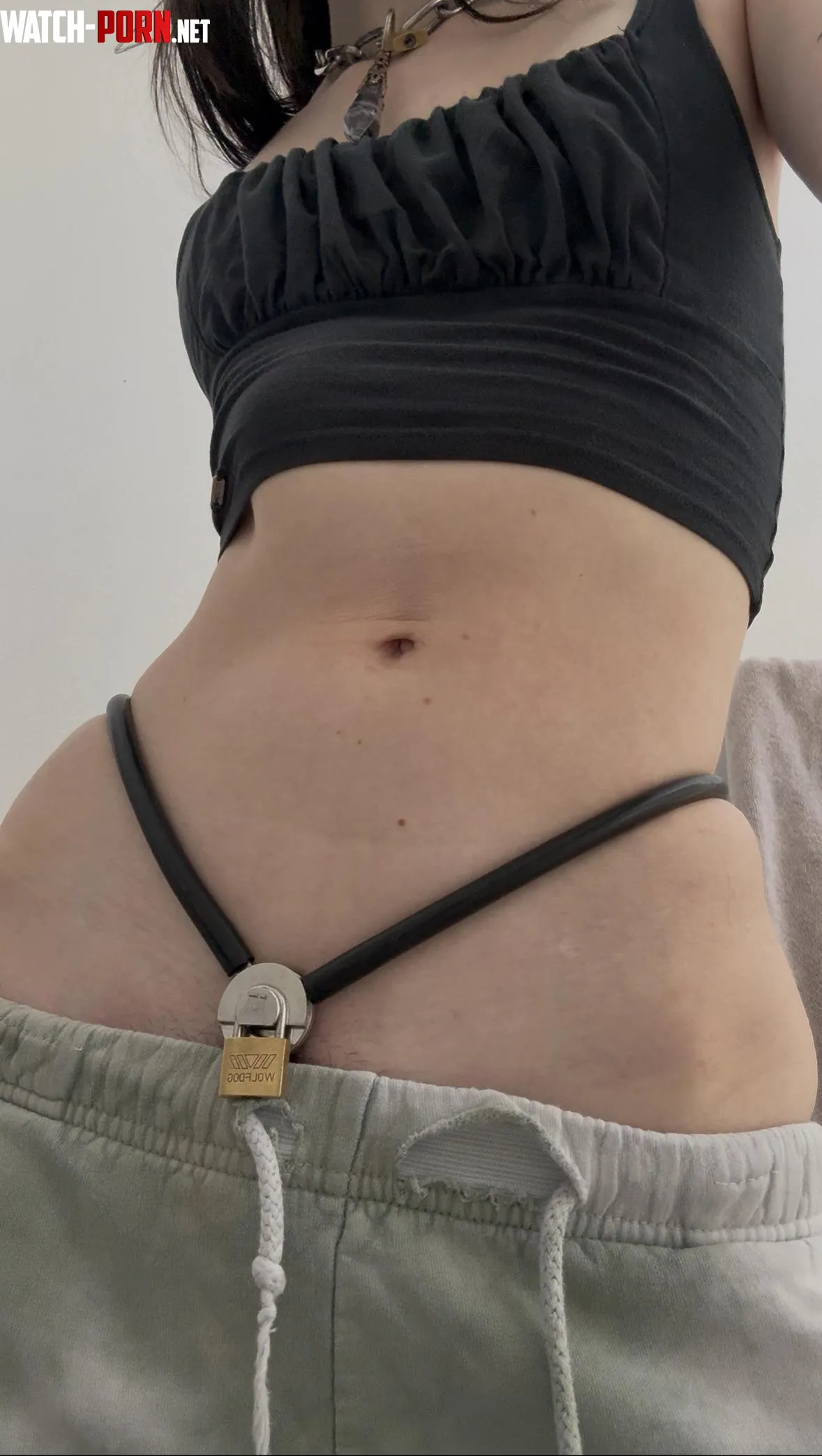slept so good in my belt last night by luciferslittlekitty