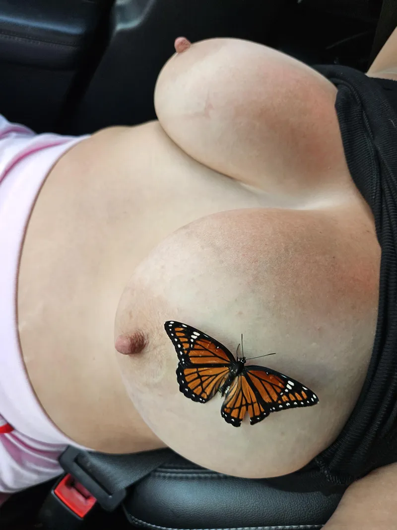 Thumbnail Uncommon Occurrences with Eraser Nipples by VidelSecret