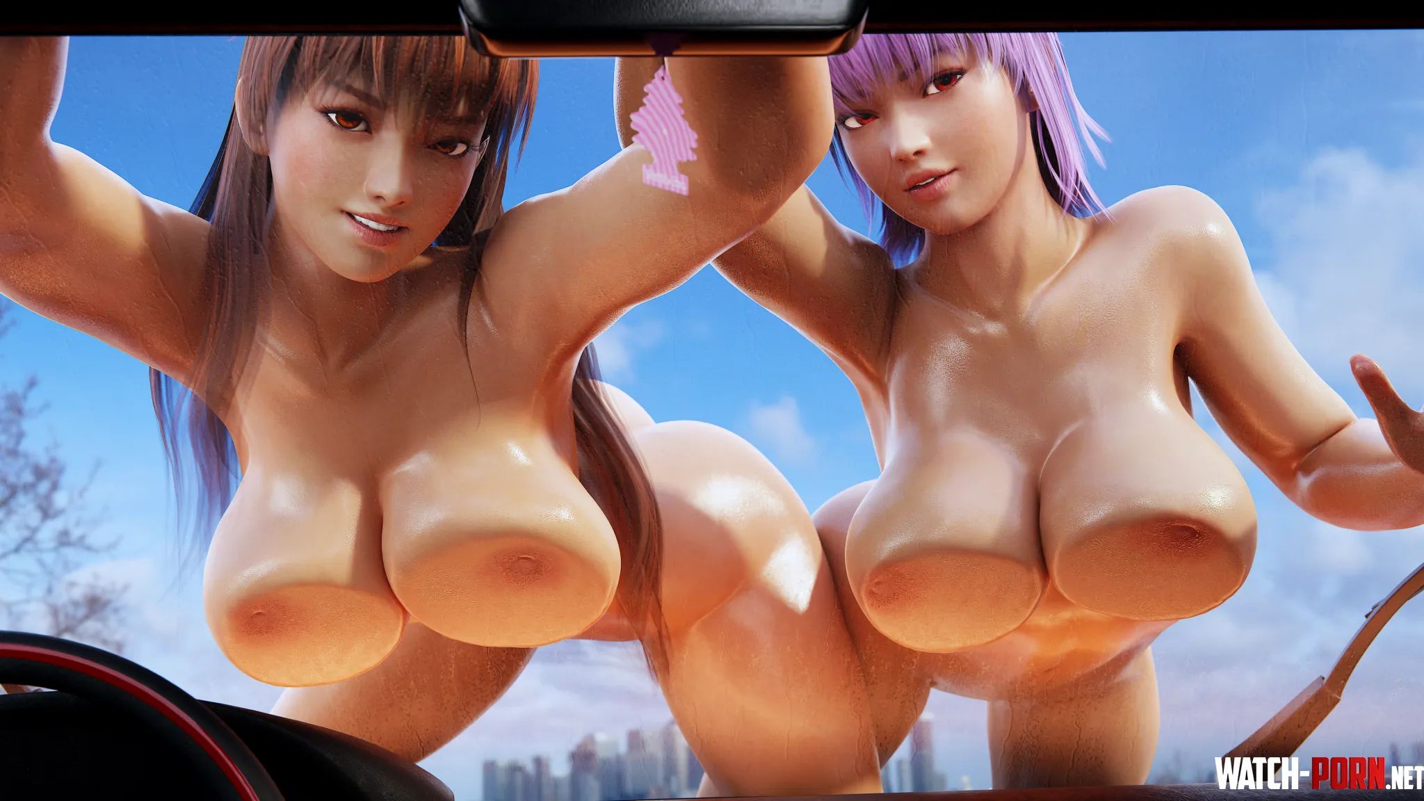 Kasumi and Ayane's car wash (EnslaverOfHumanity) [DEAD OR ALIVE] by AlKo96