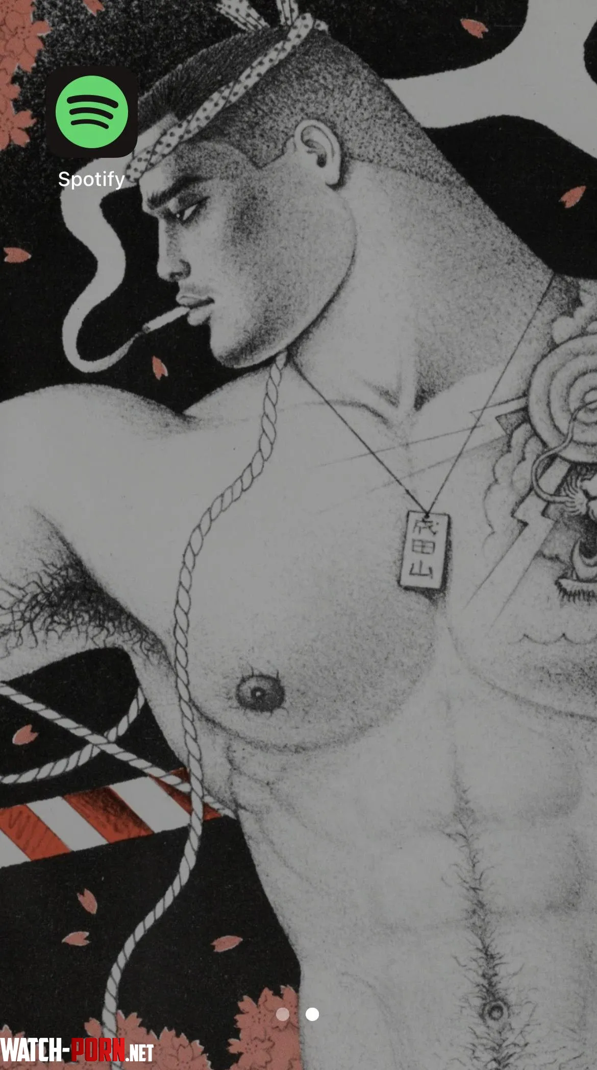 Help me with finding the artist of this image please? by foreignentitty