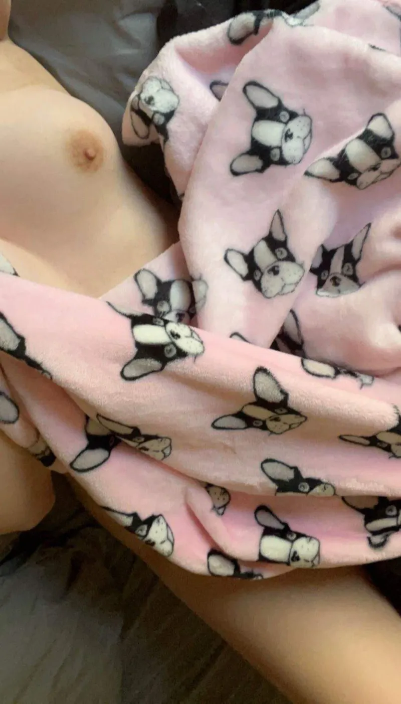 Thumbnail kc_dollification - Not Even 20 and Ready to Be Bred | Slutsofonlyfans