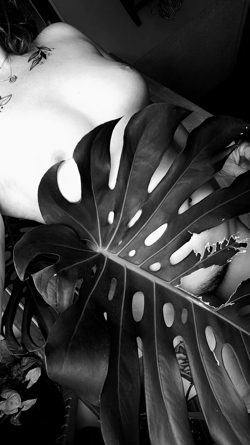 Thumbnail Monstera Deliciosa: A Black & White Beauty in LaBeauteFeminine