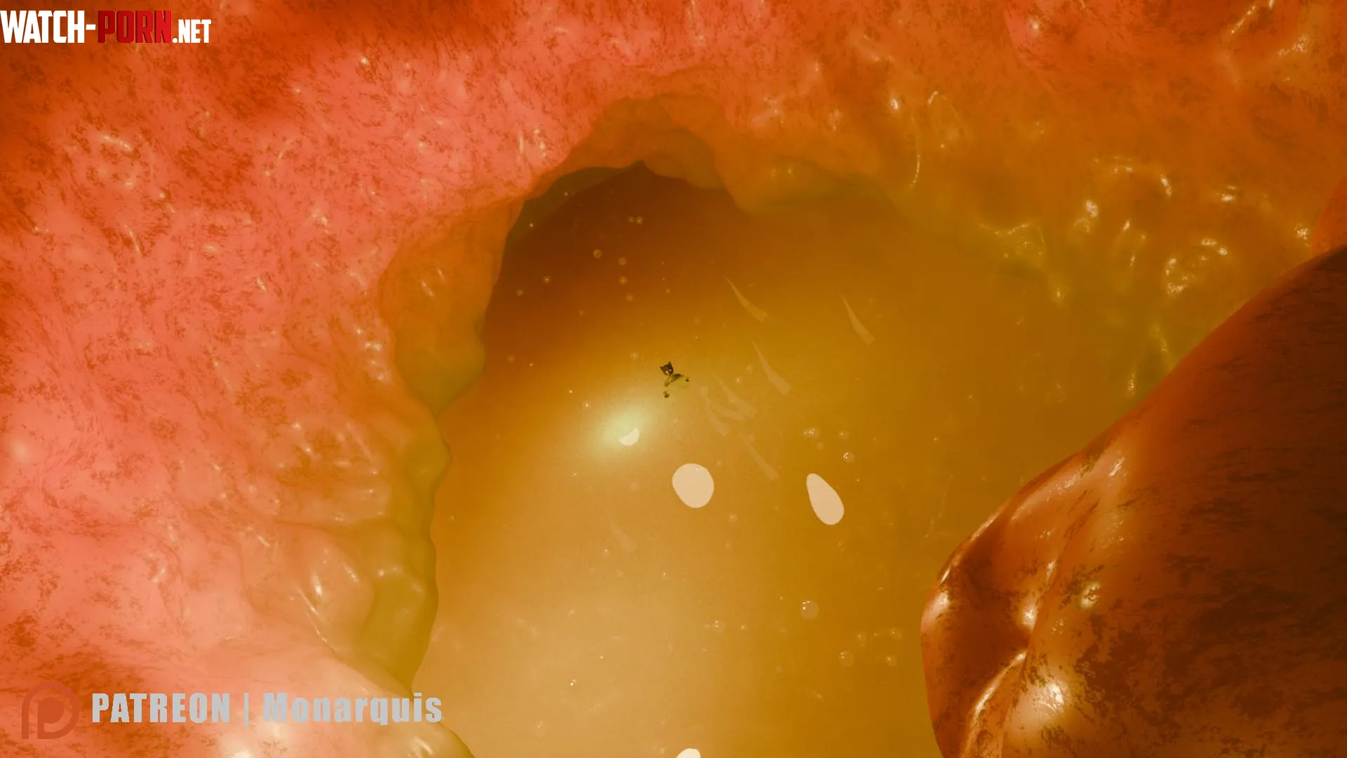 {image}Swimming in the stomach [M](Monarquis) by Monarquis