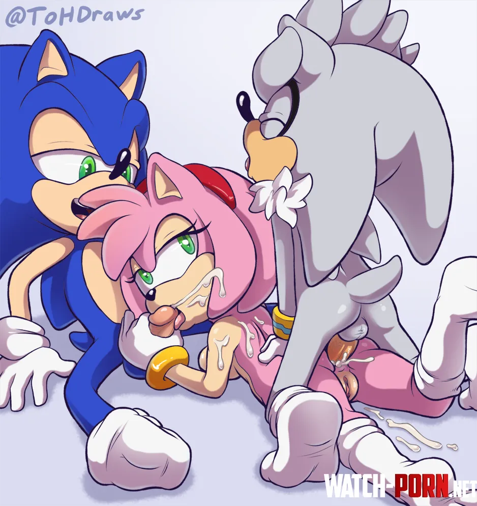 Silver and Sonic treat Amy (ToHDraws) by Illustrious-Ice9656