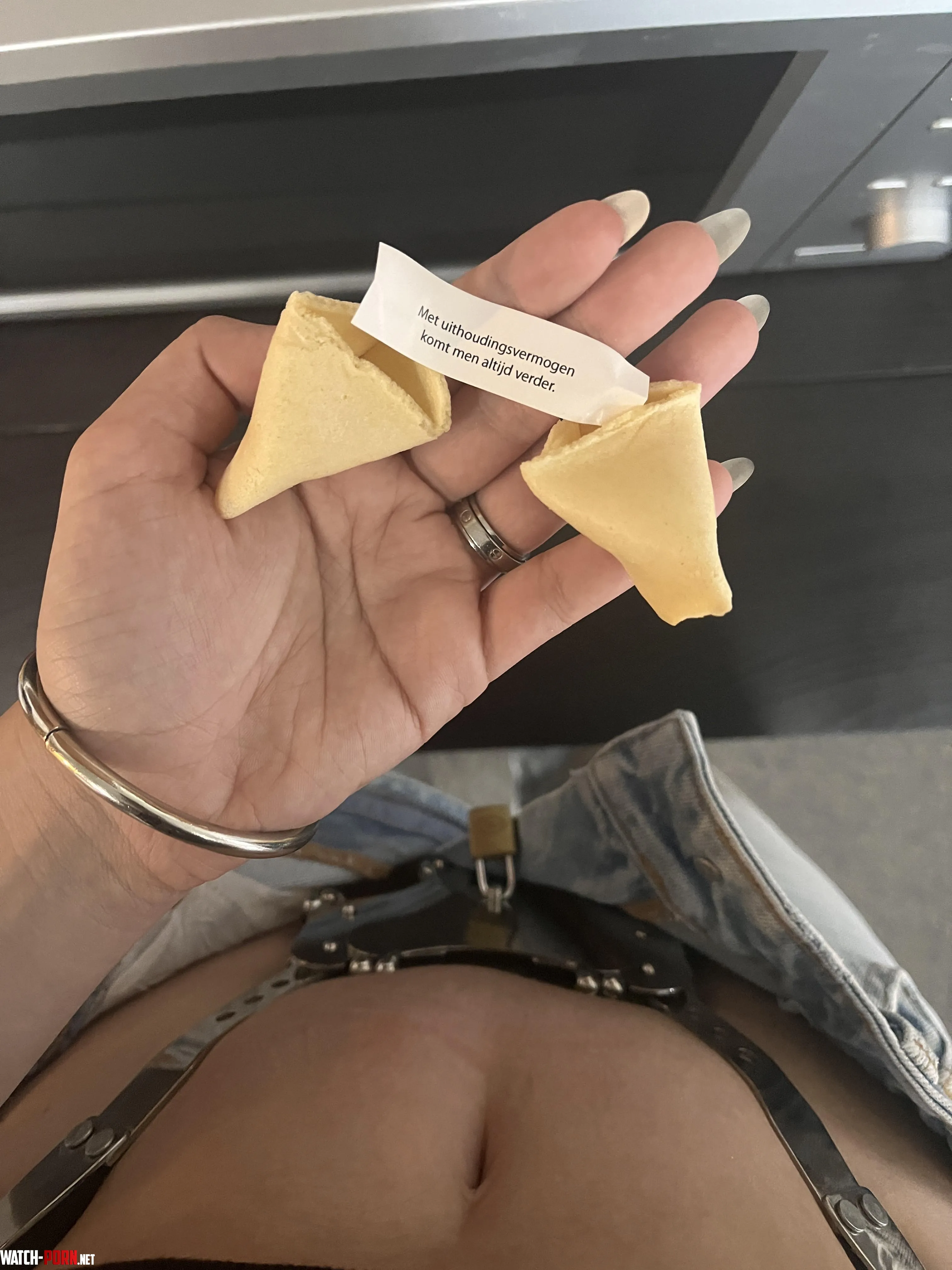 I need the translation of thi fortune cookie, I have been more than a month denied! by wet_nesday