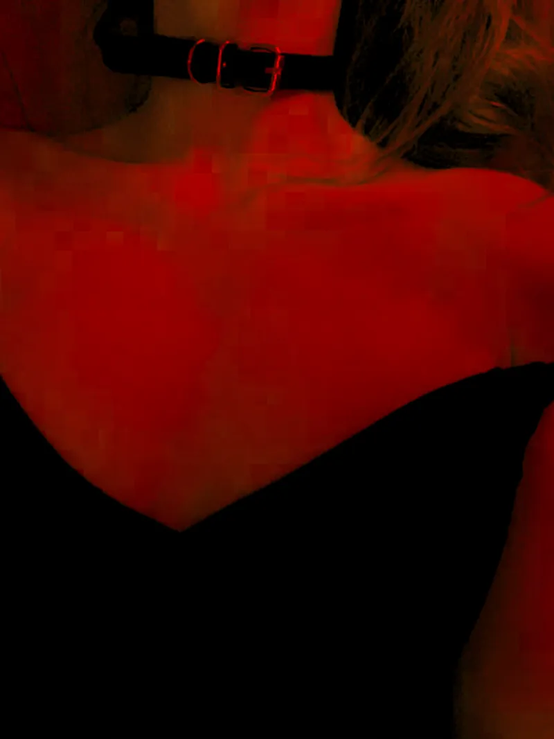 Thumbnail Stealing the Cat’s Collar for Vibes: The Plot for Revenge