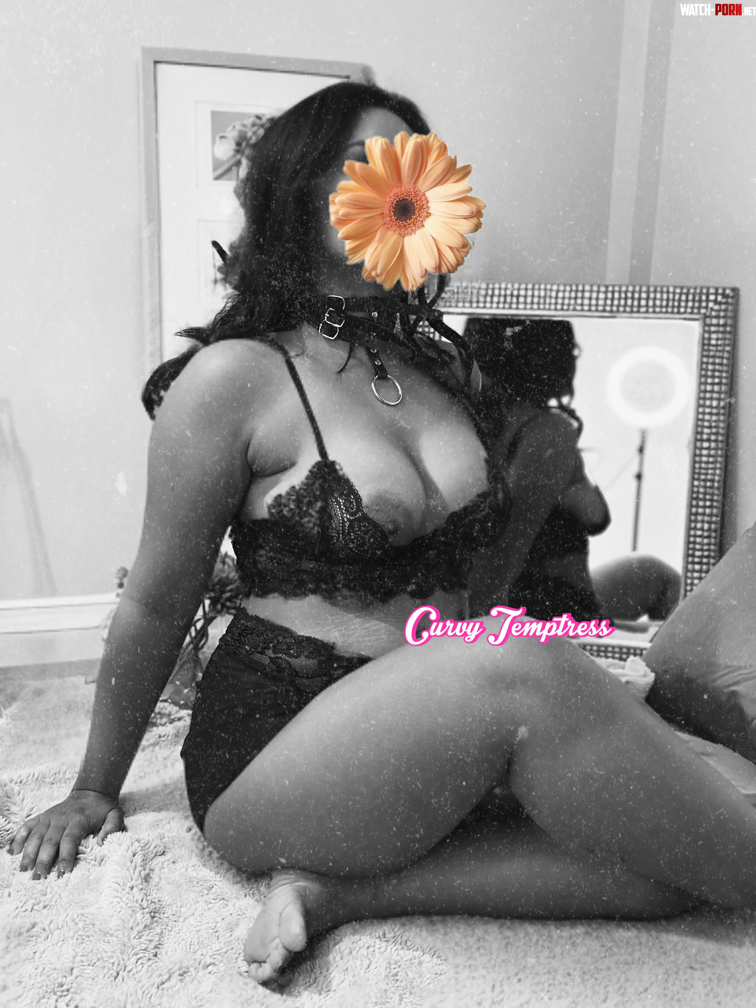 Come unwrap me (f) by curvytemptress9