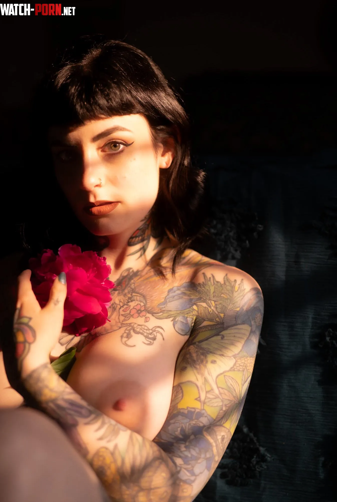 In bloom ✨🌹 by baroness_stone