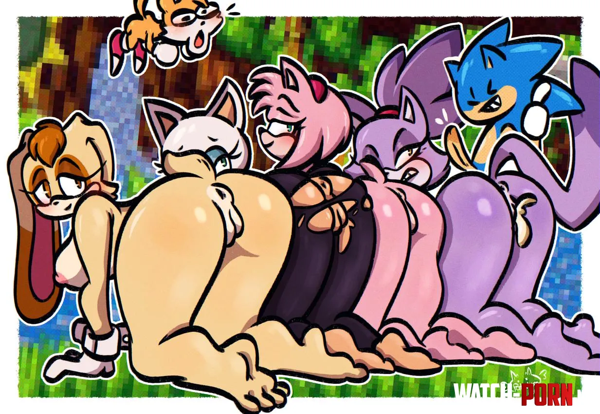 Sonic gets all the girls [papatero69] by CalloftheWild69