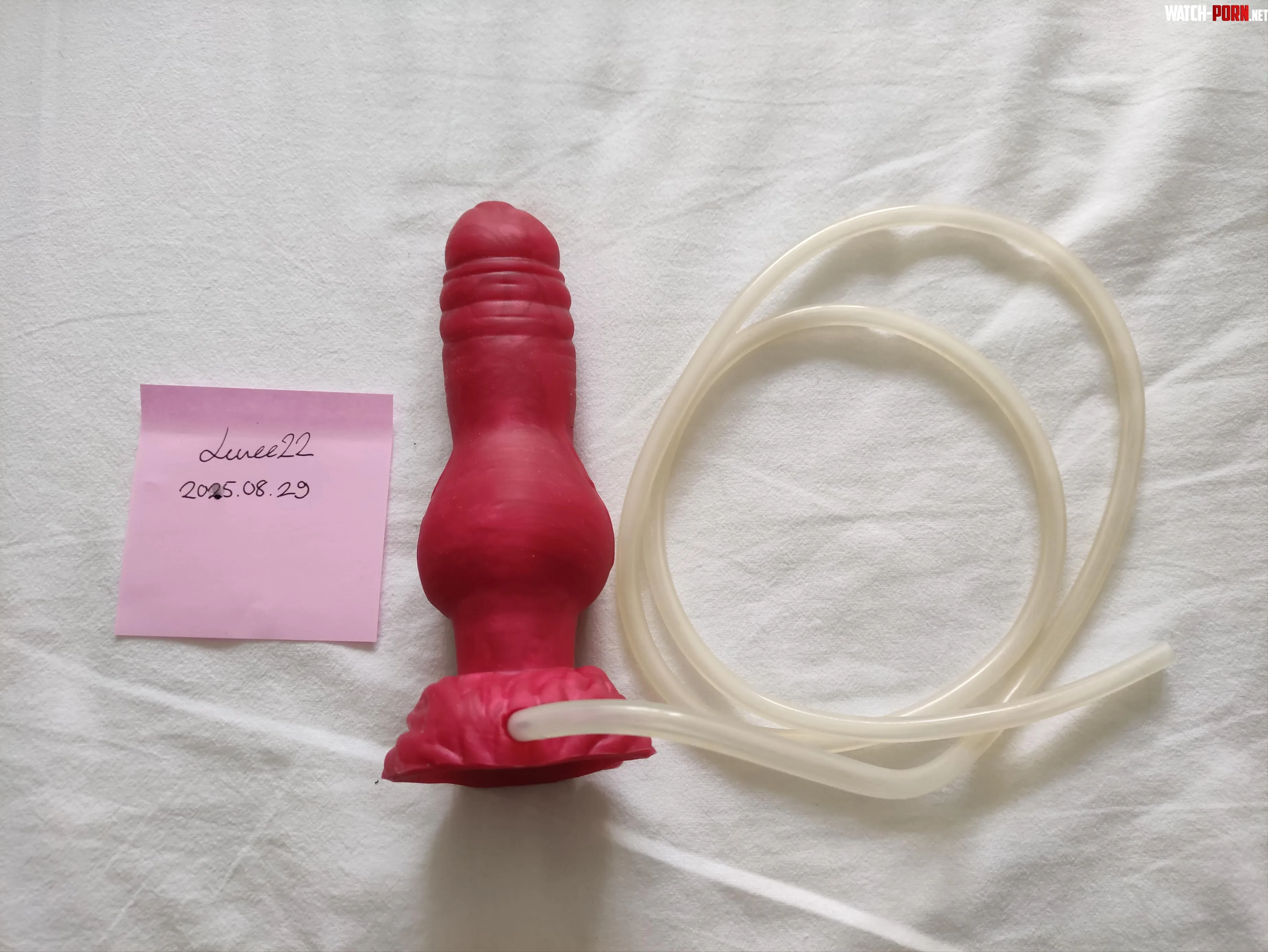 WTS EU Small Austin with suction cup and cumtube 100€ by Leuee22