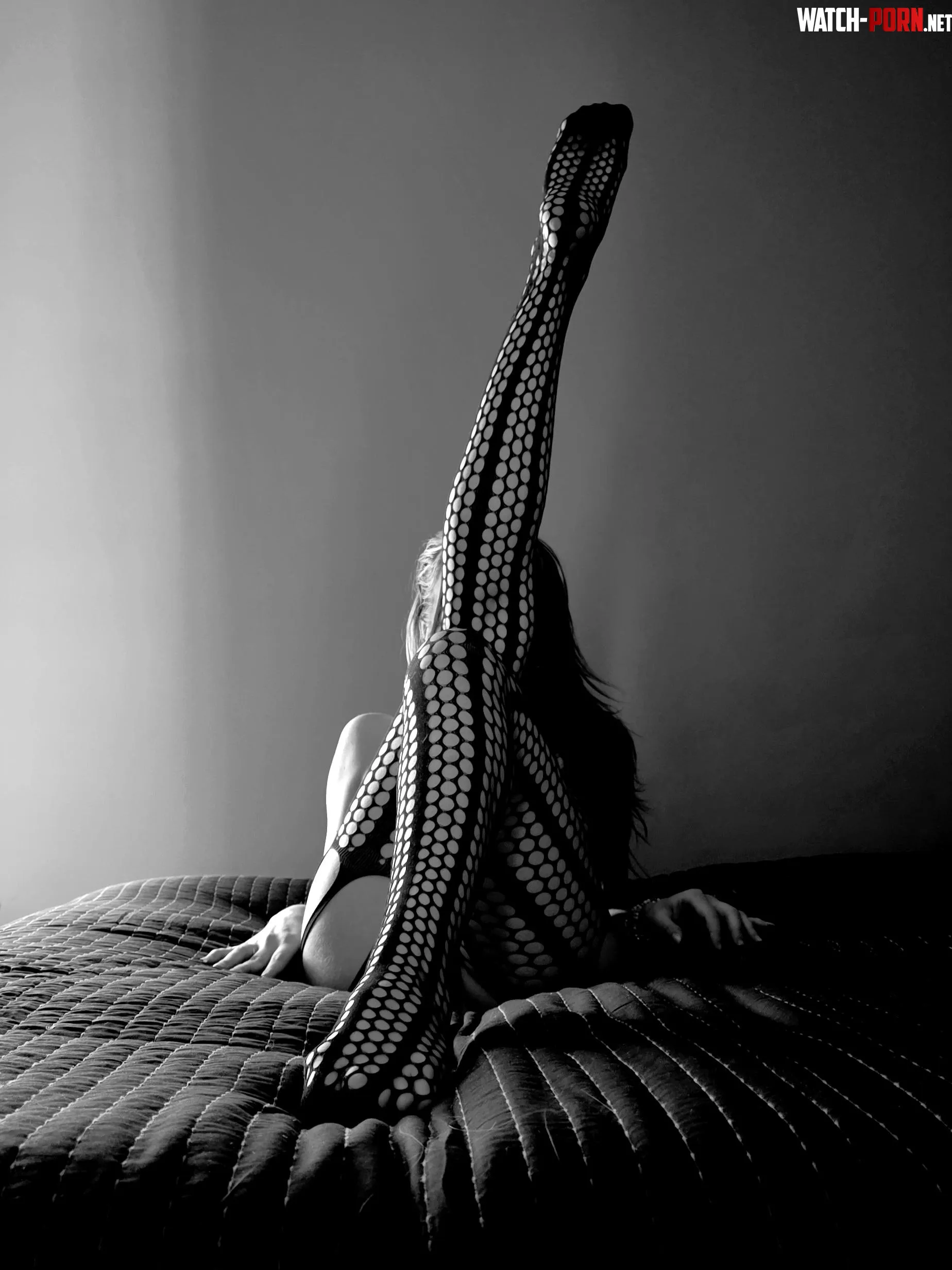 Lines by VeraVictors