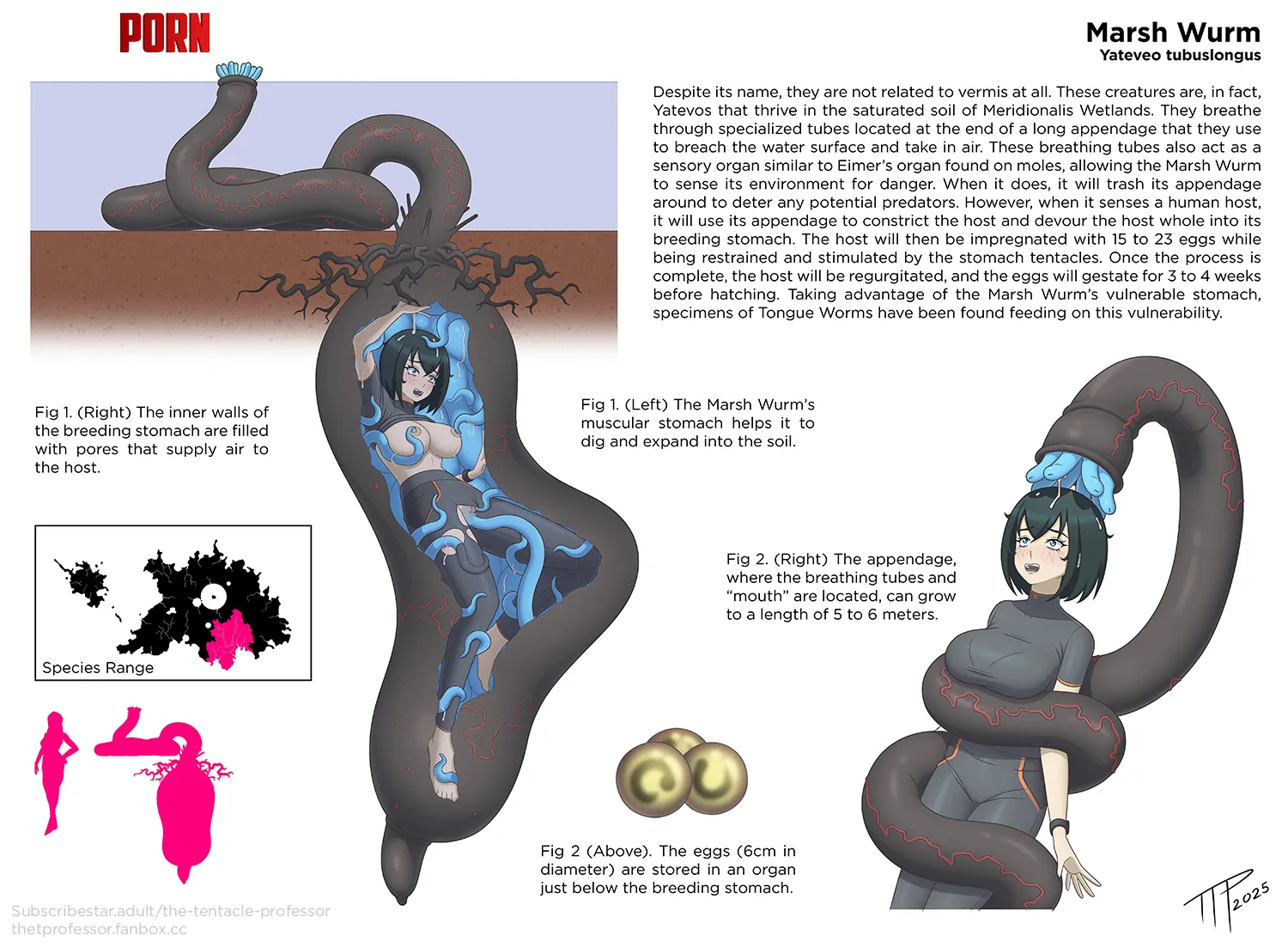 Kathleen x marsh wurm (TheTentacleProfessor) by EnigmusPrime
