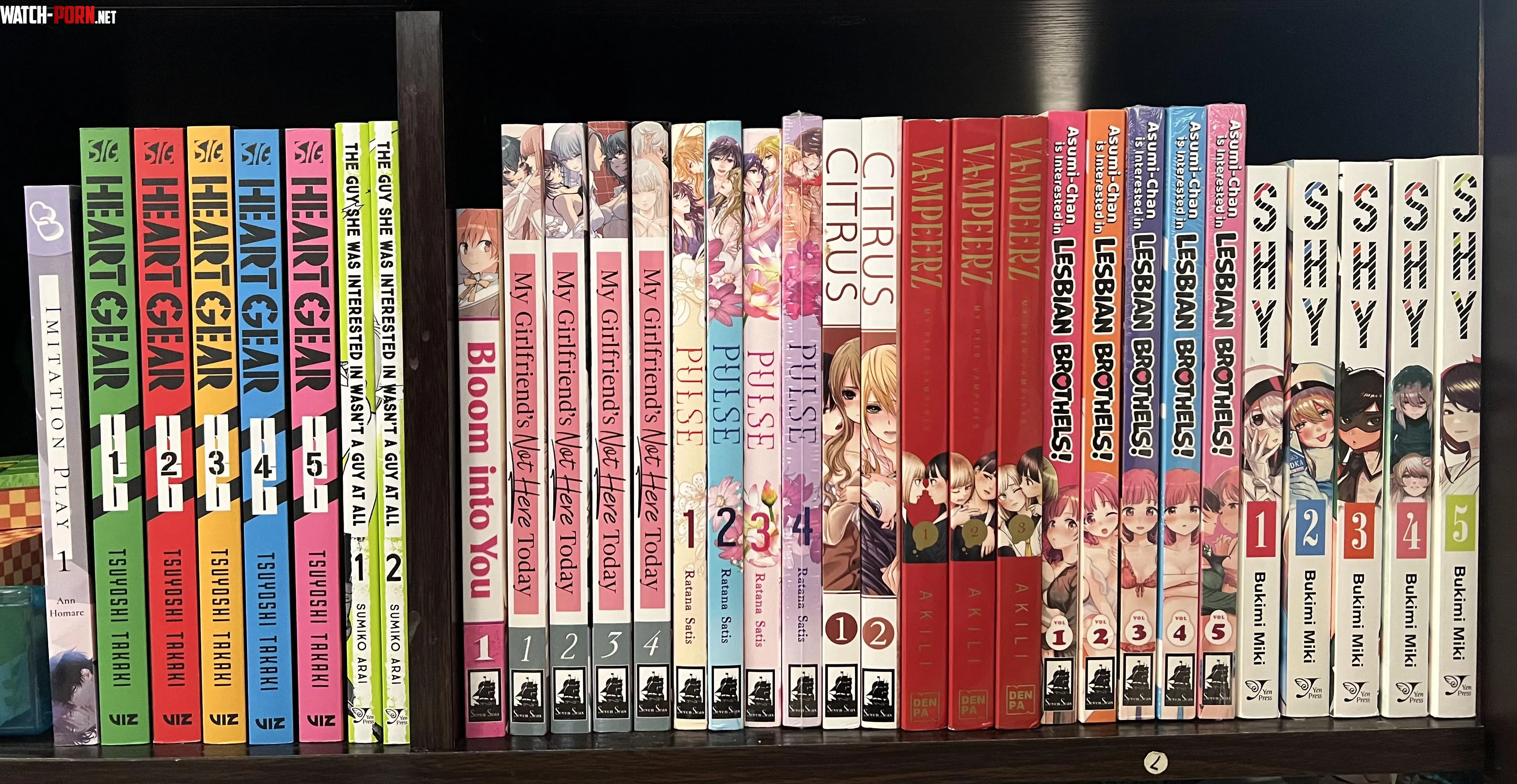My (mostly yuri) Collection So Far! [Citrus, Pulse, ACIILB, Shy,  Vampeerz, MGINHT] by haveuhniceday