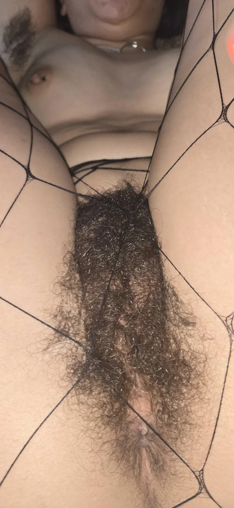 Thumbnail Containing the Bush - A Struggle by Hairy_nShameless