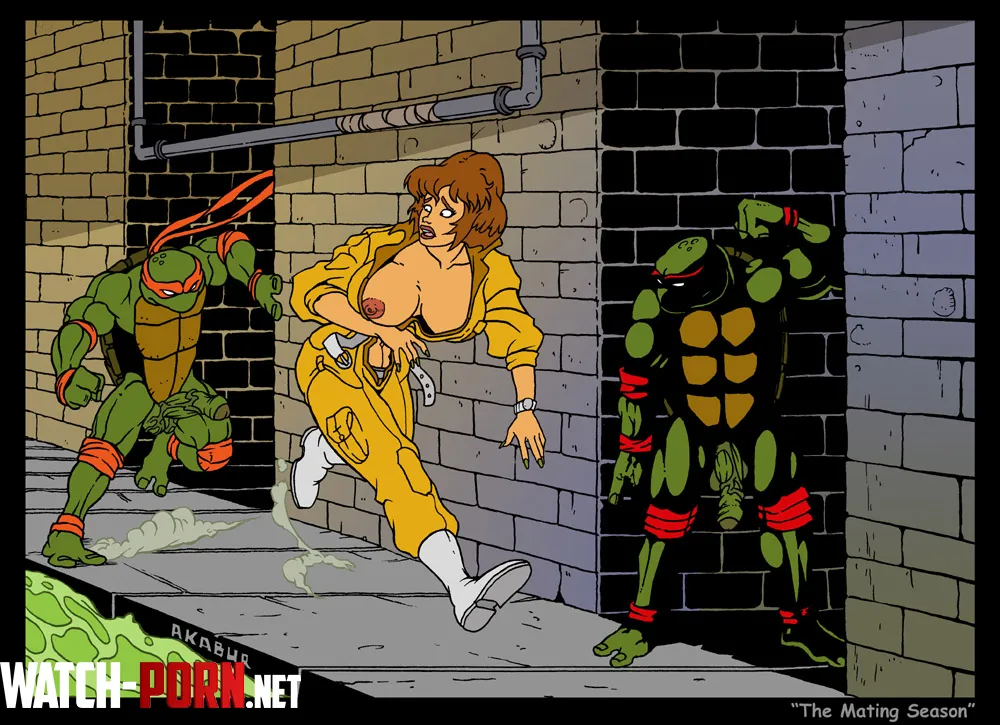 The mating season (AKABUR) [Teenage Mutant Ninja Turtles] by EnigmusPrime