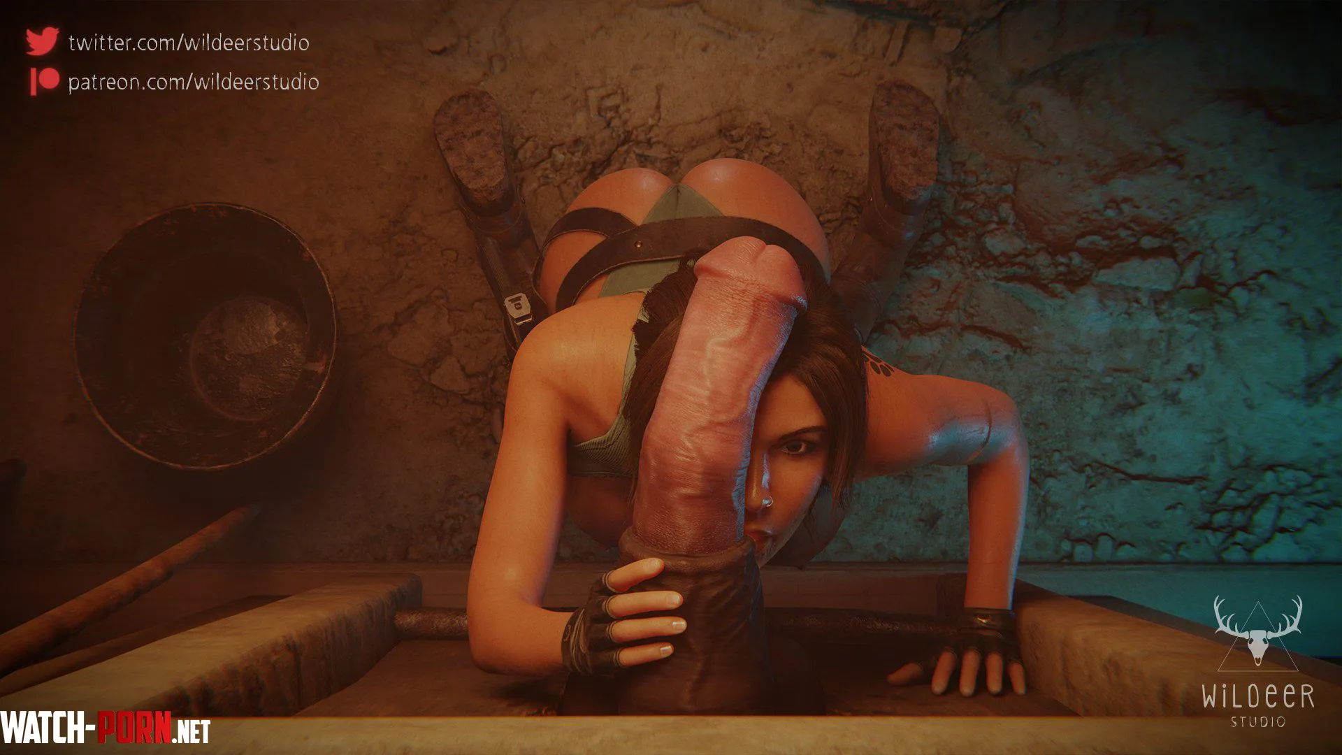 Lara - A Different Gloryhole (wildeer studio) [Tomb Raider] by EroMestre