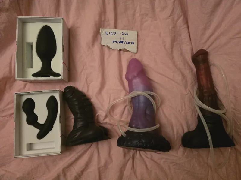 Thumbnail WTS BDs and Lovense Lower 48 CONUS by CD--Disk