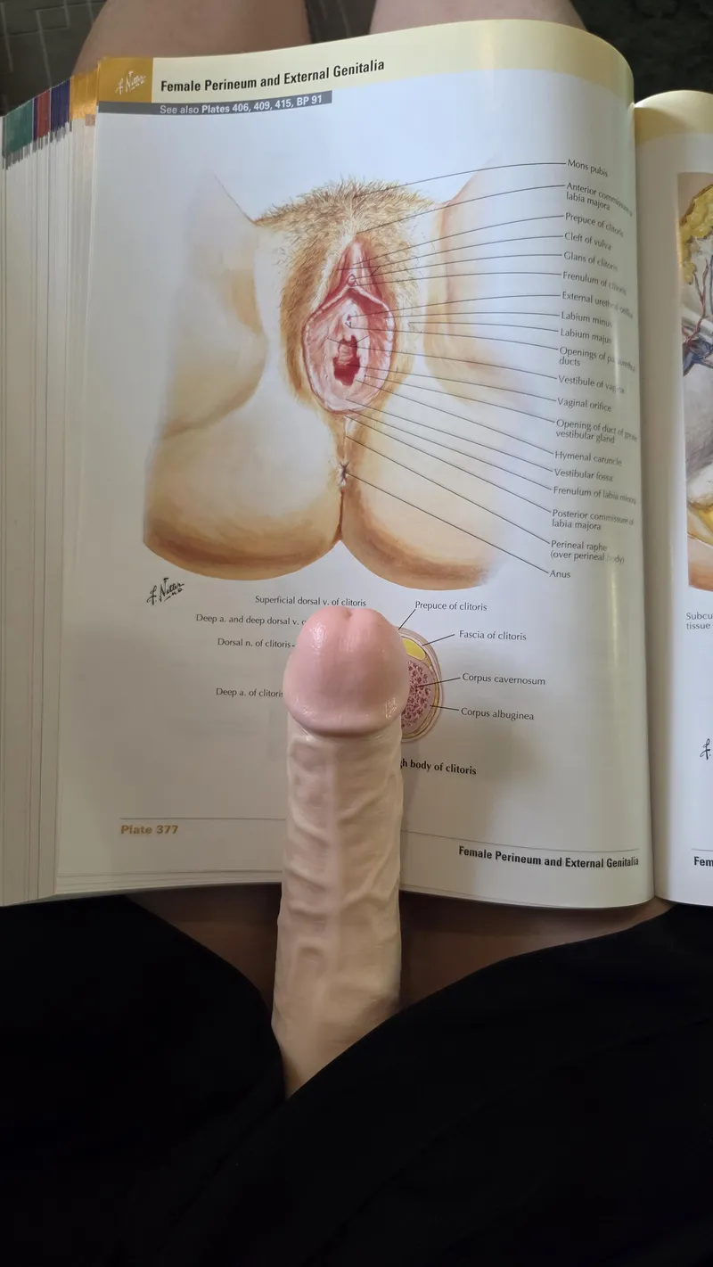 Thumbnail EyeShimmer's Cock Education: Enlightening Lessons in strapon