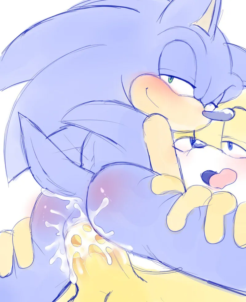 Thumbnail Sonic and Tails by Iwouldfuckknuckles | SonicPorn