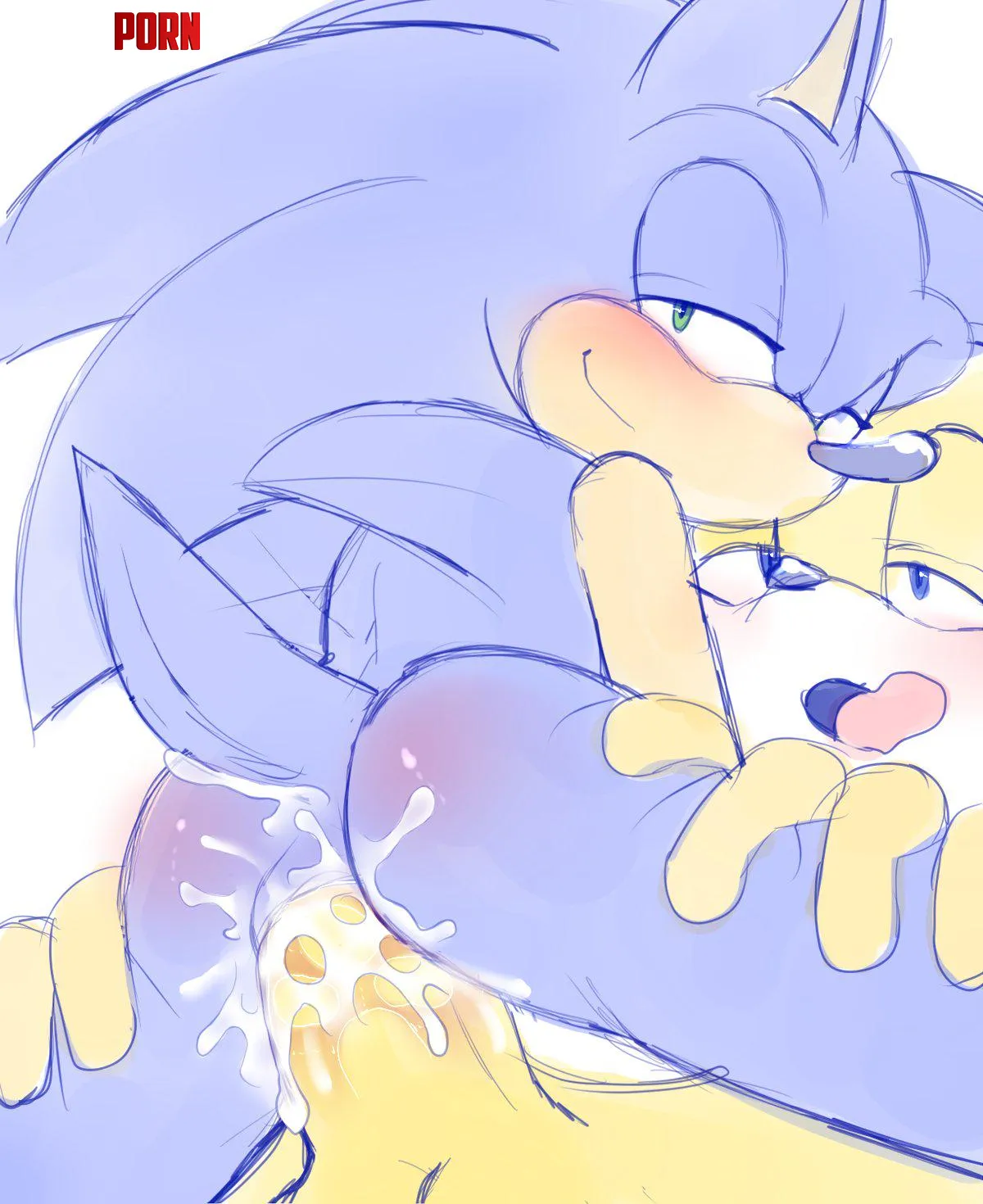 Sonic and tails ( jayaero) by Iwouldfuckknuckles