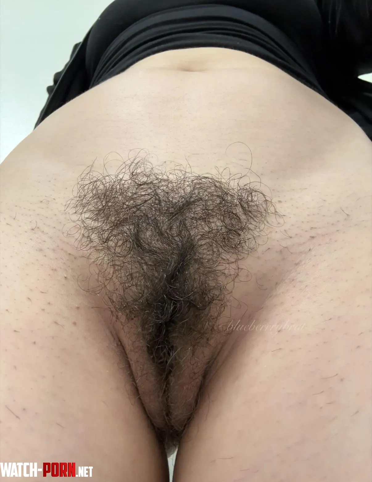 Up close and personal bush pic by blueberrrybrat