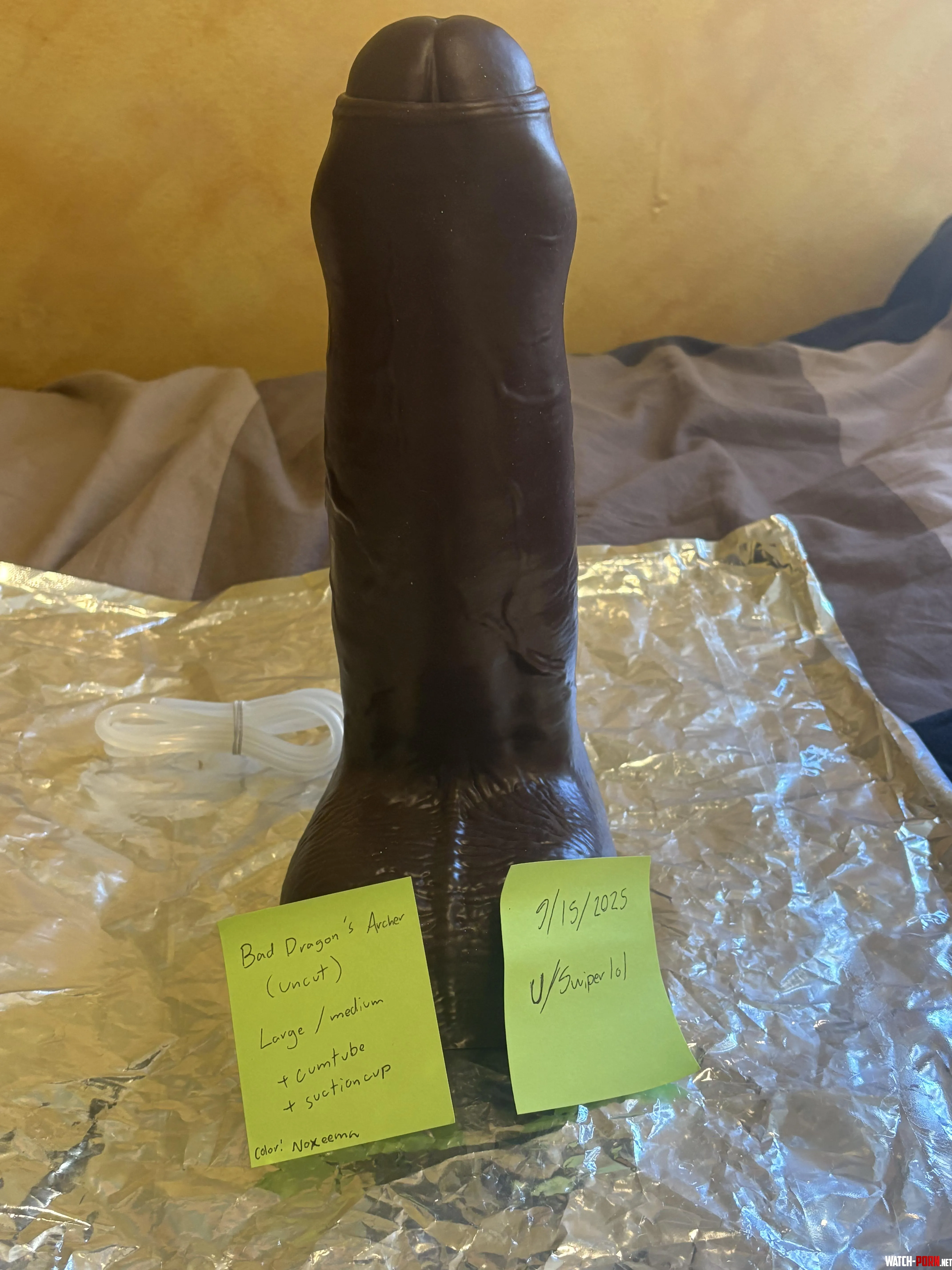 WTS (USA) - Archer (L) by Swiperlol