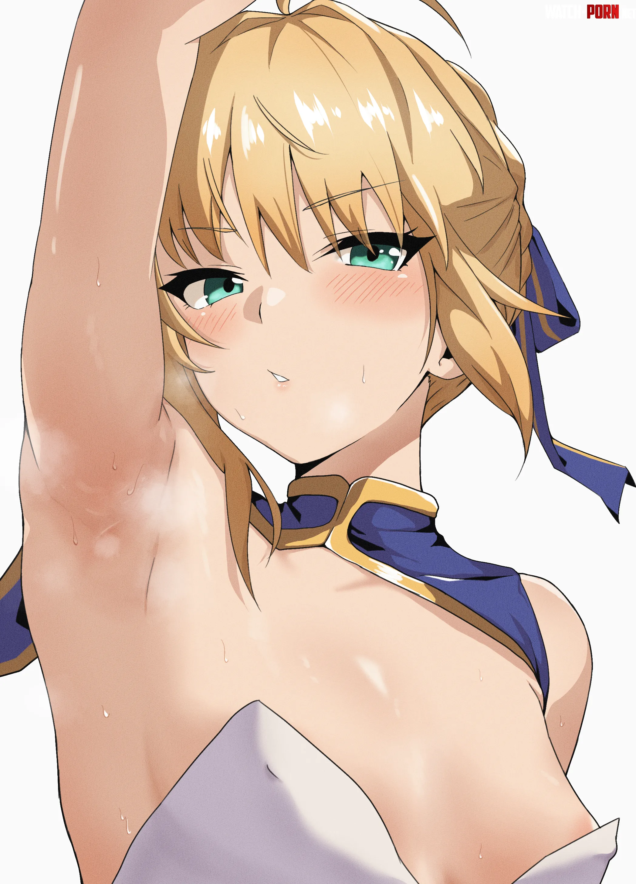 Saber's smelly pits (Neinlol) by Level-Ad5048