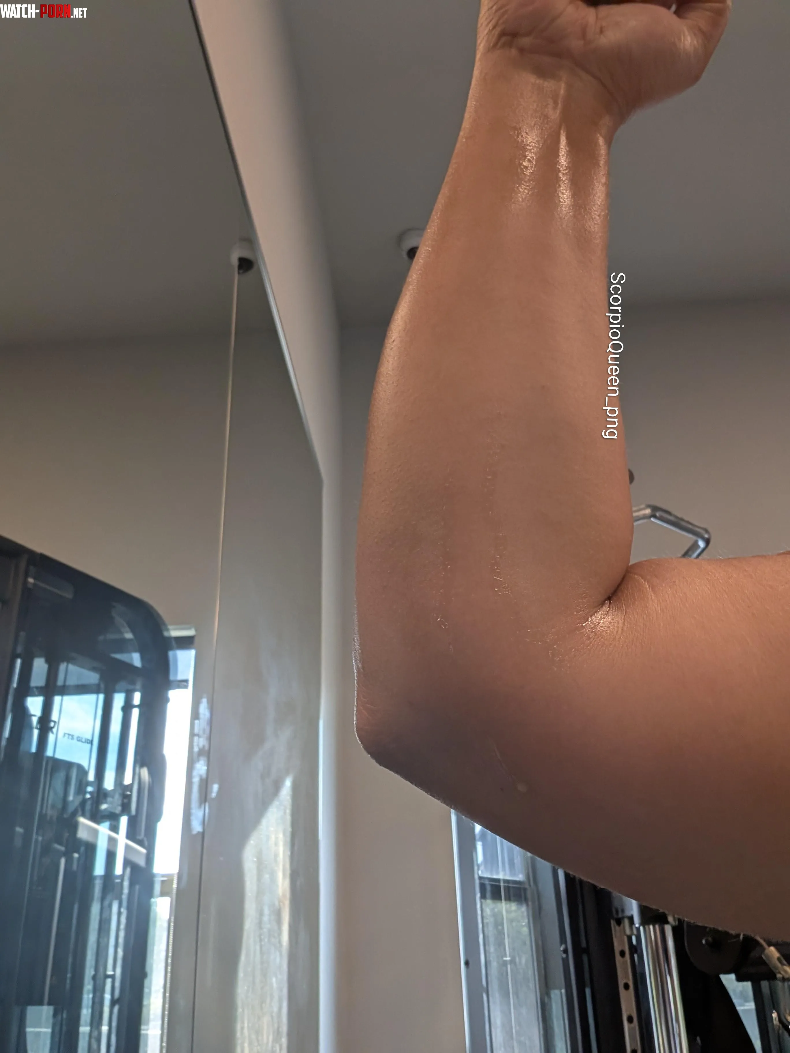 Forearm Sluts to the Front by ScorpioQueen_png